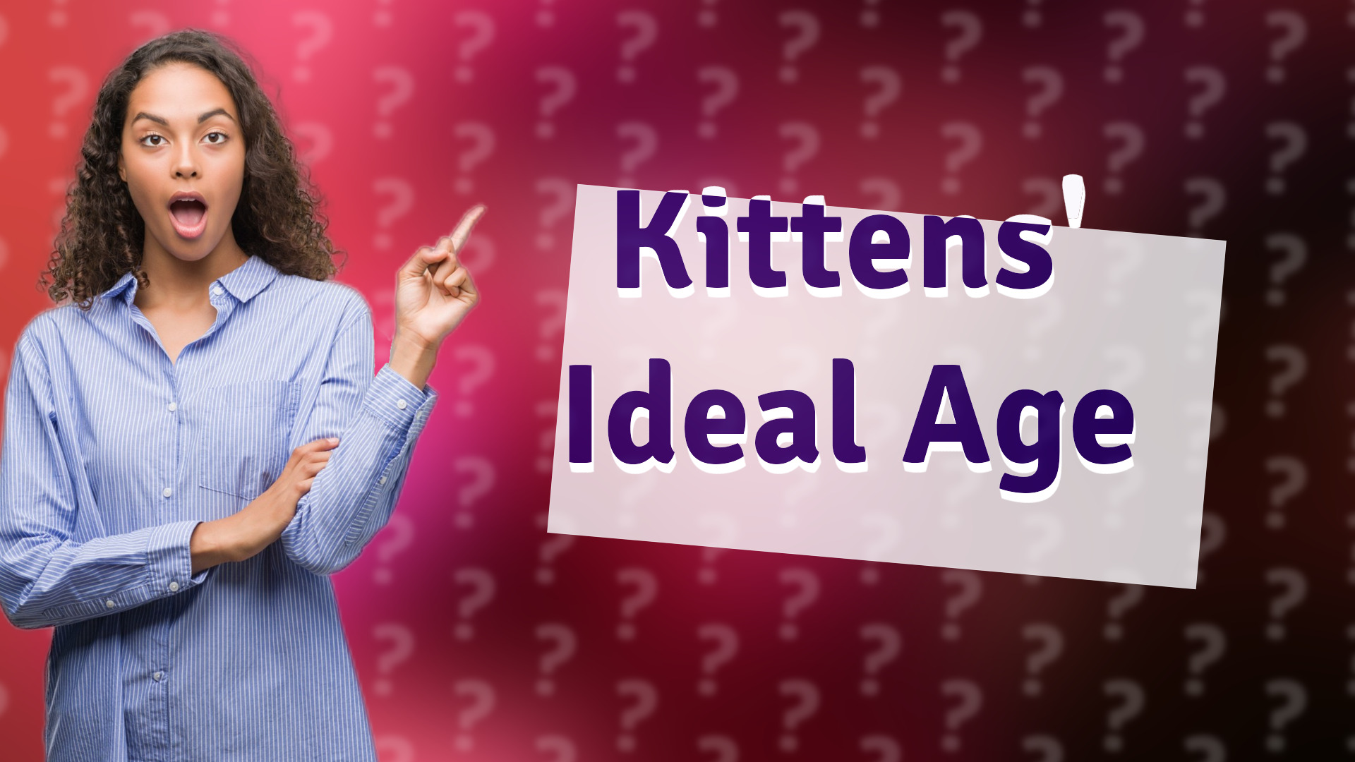 Kittens' Ideal Age