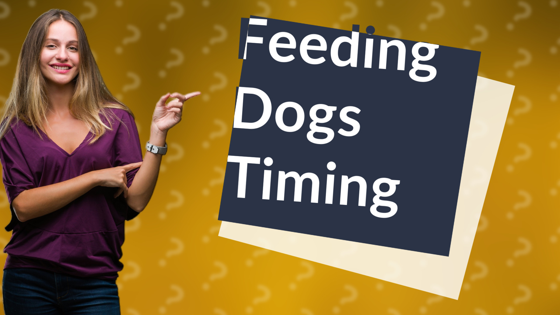 Feeding Dogs Timing