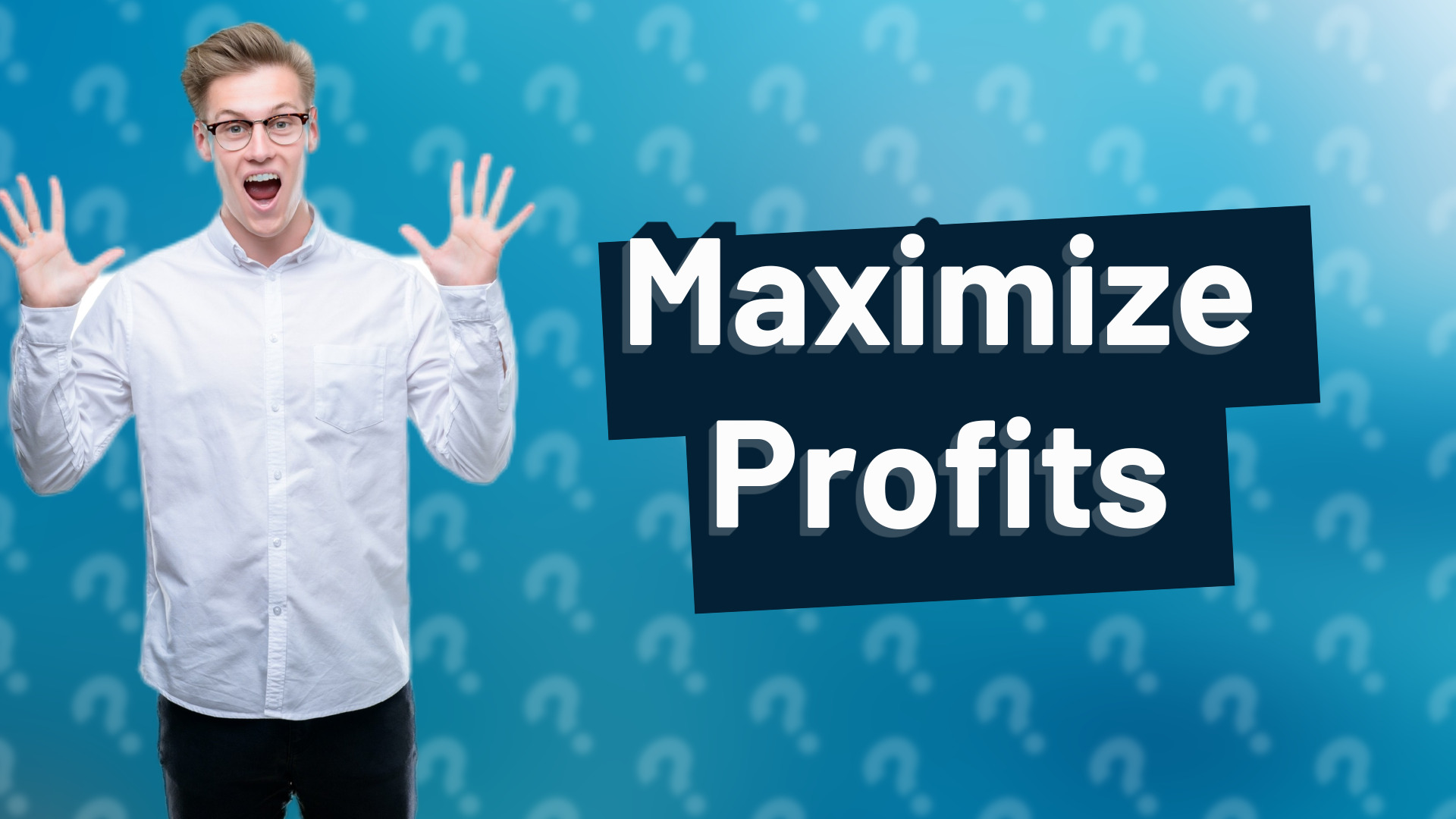 Maximize Profits