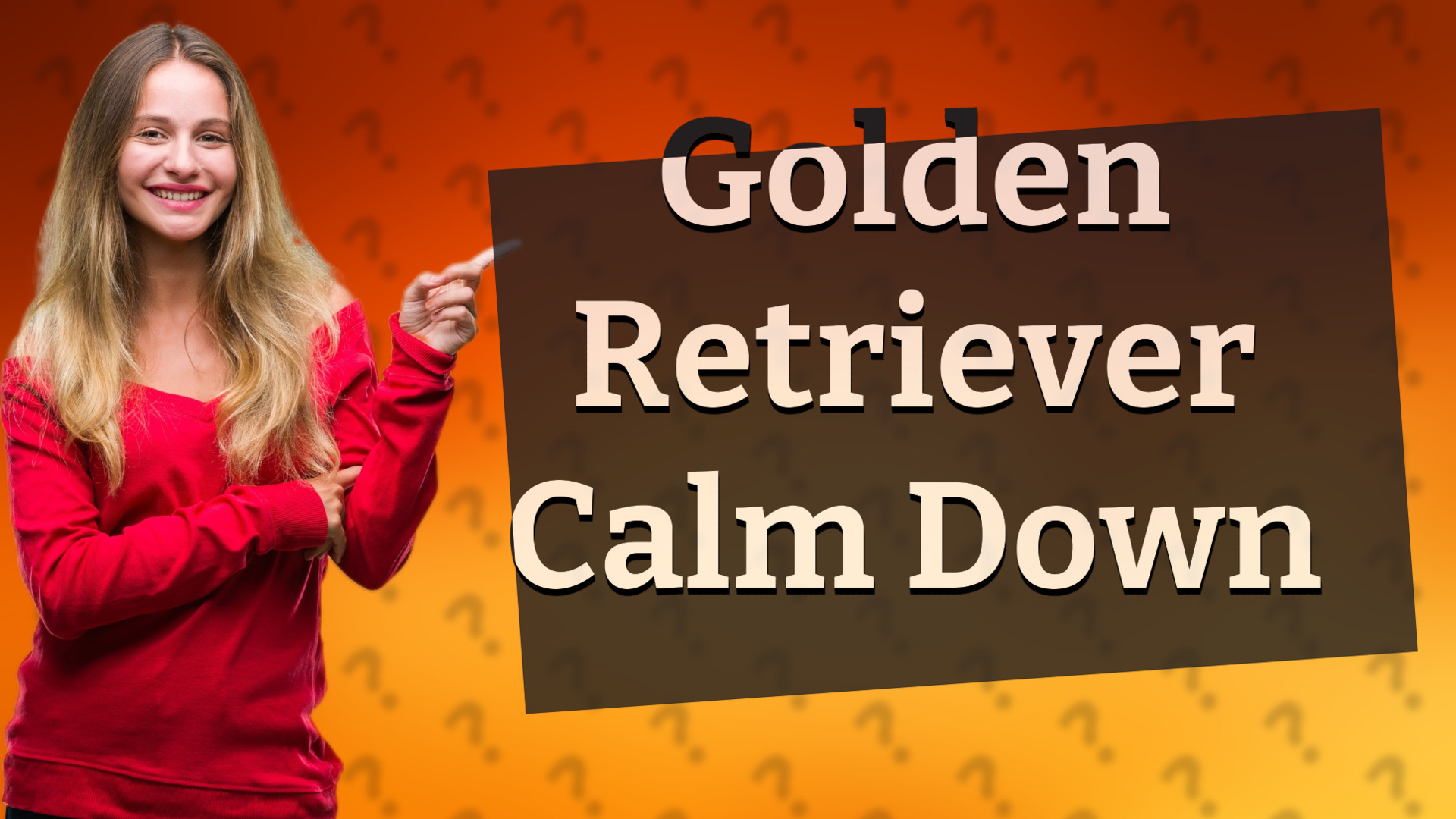 Golden Retriever Calm Down