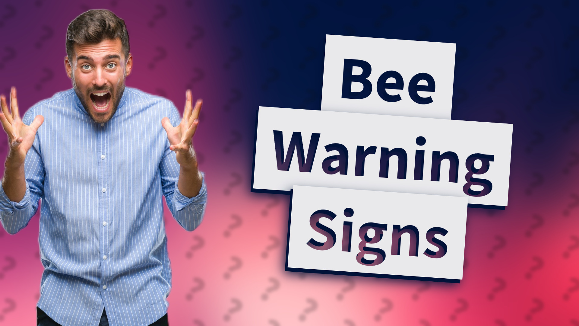 Bee Warning Signs