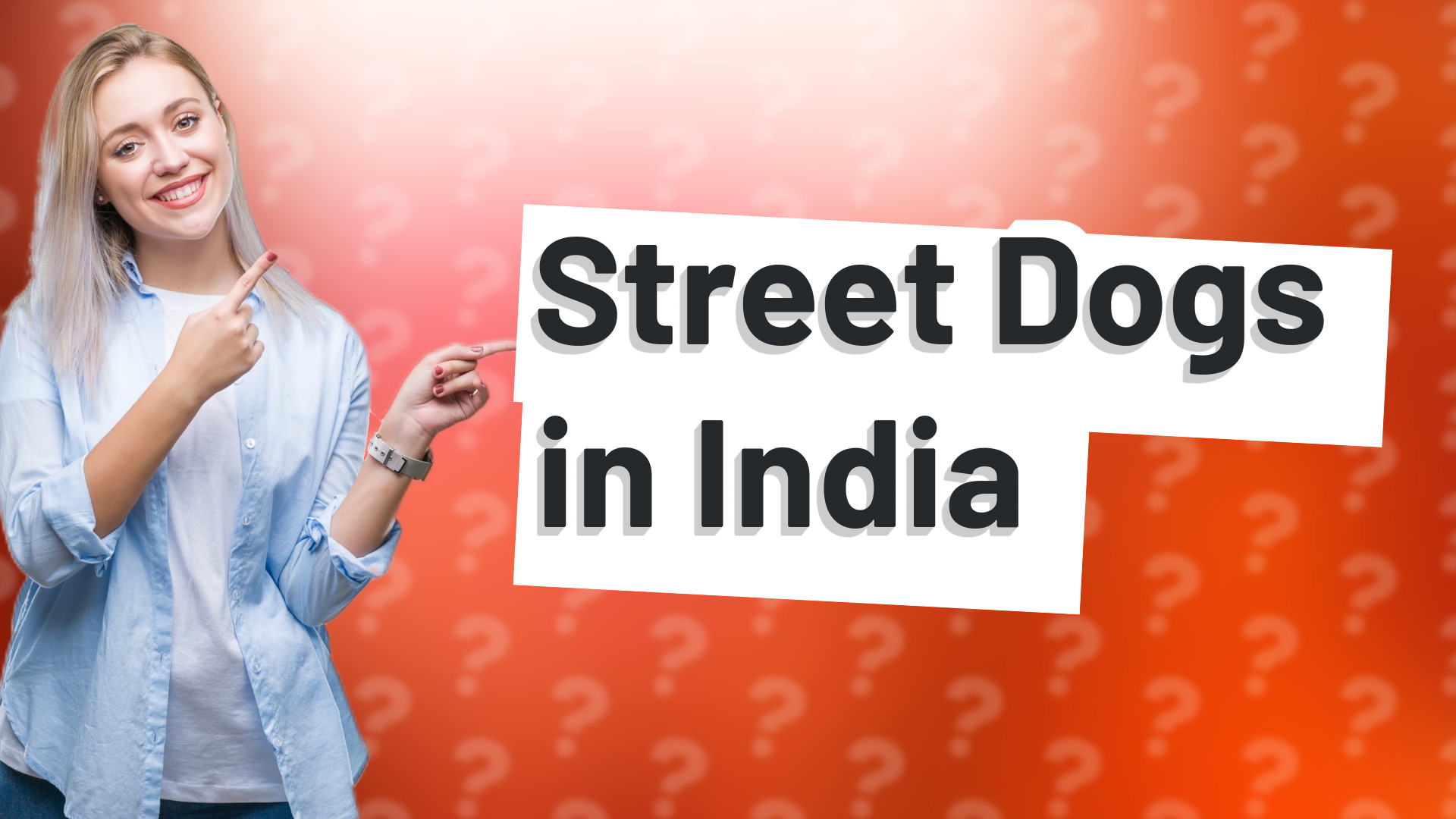 Street Dogs in India
