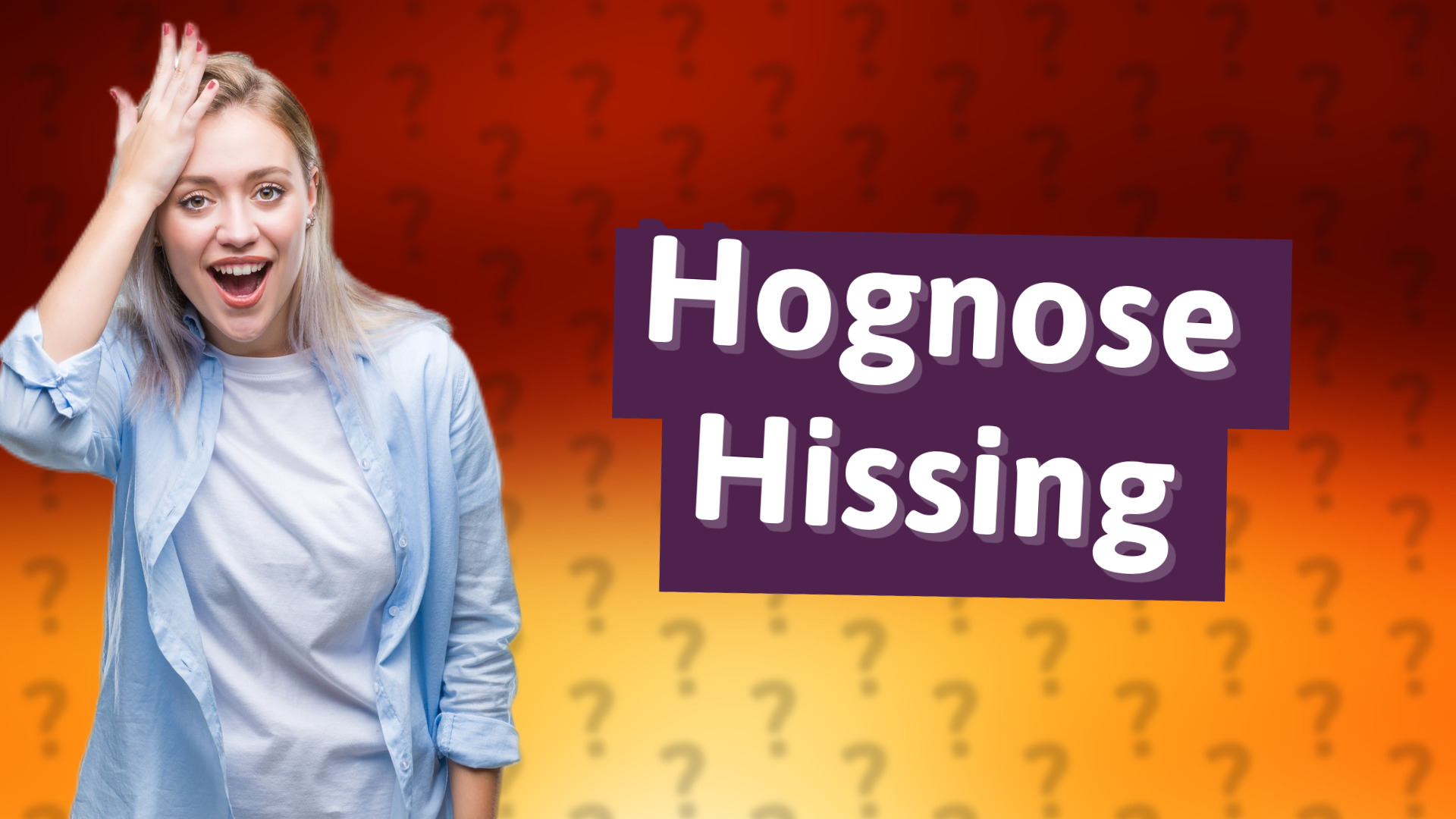 Hognose Hissing