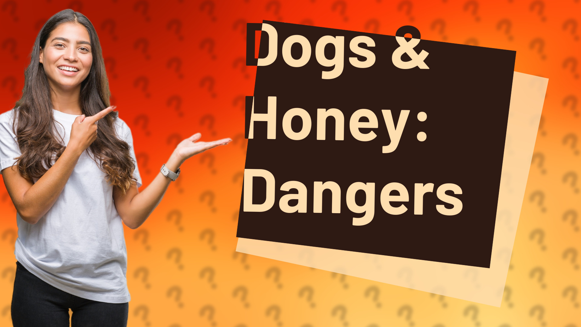 Dogs & Honey: Dangers