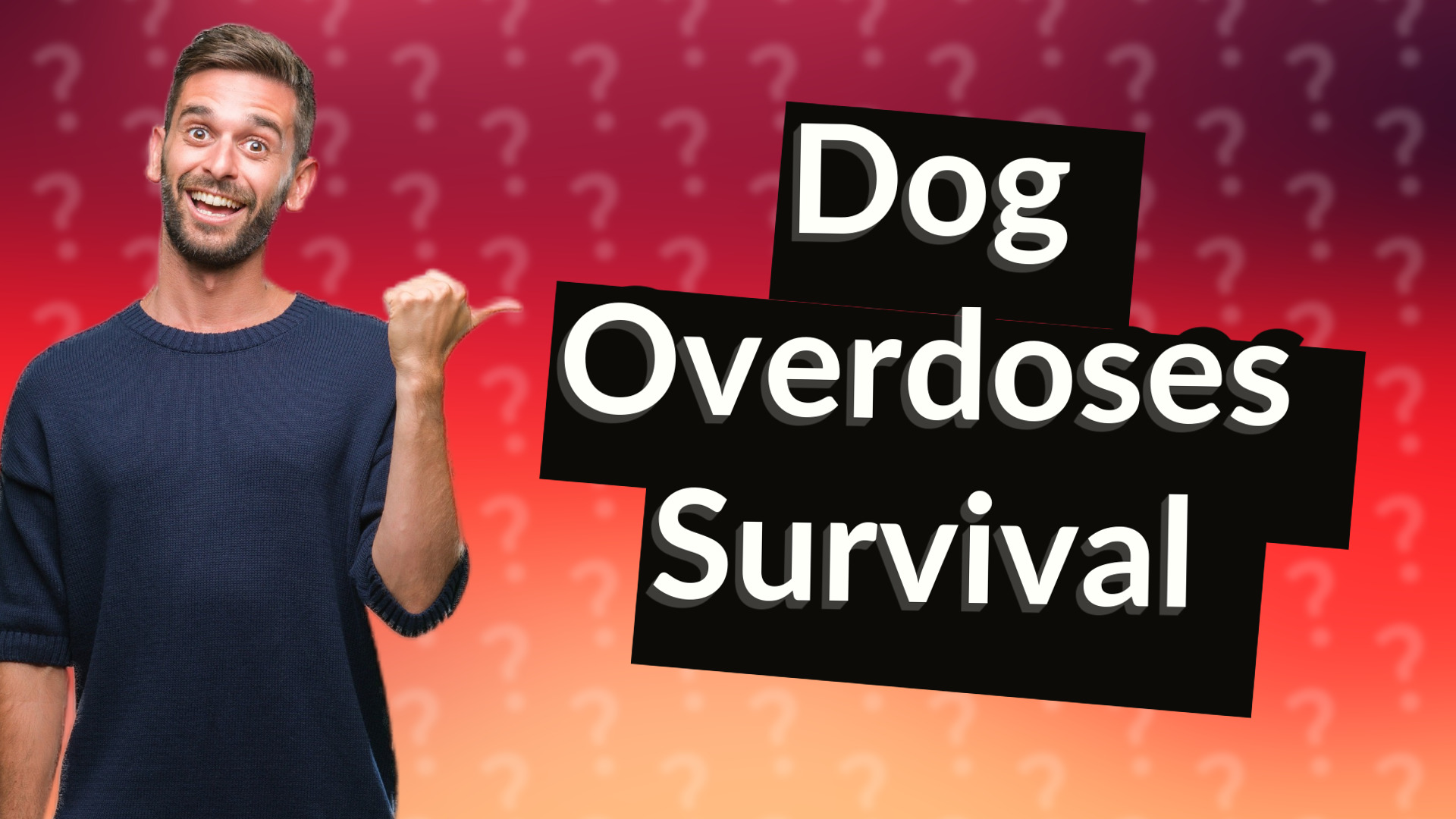 Dog Overdoses Survival