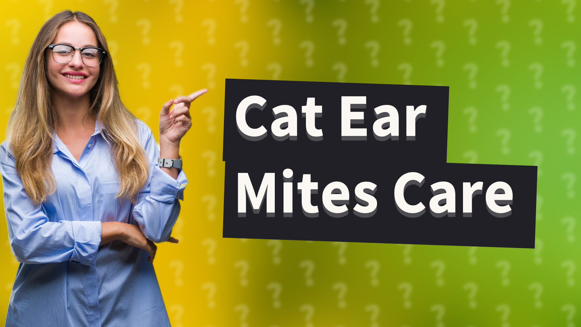 Cat Ear Mites Care
