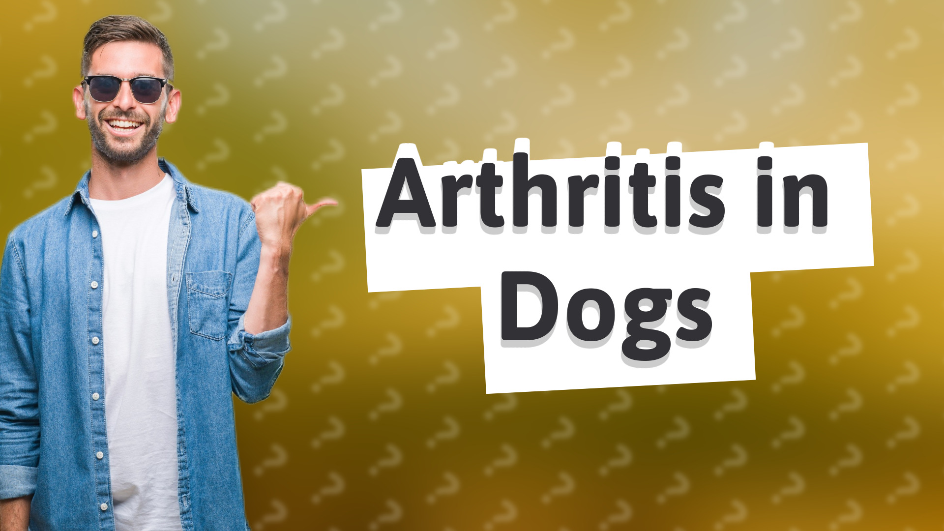 Arthritis in Dogs