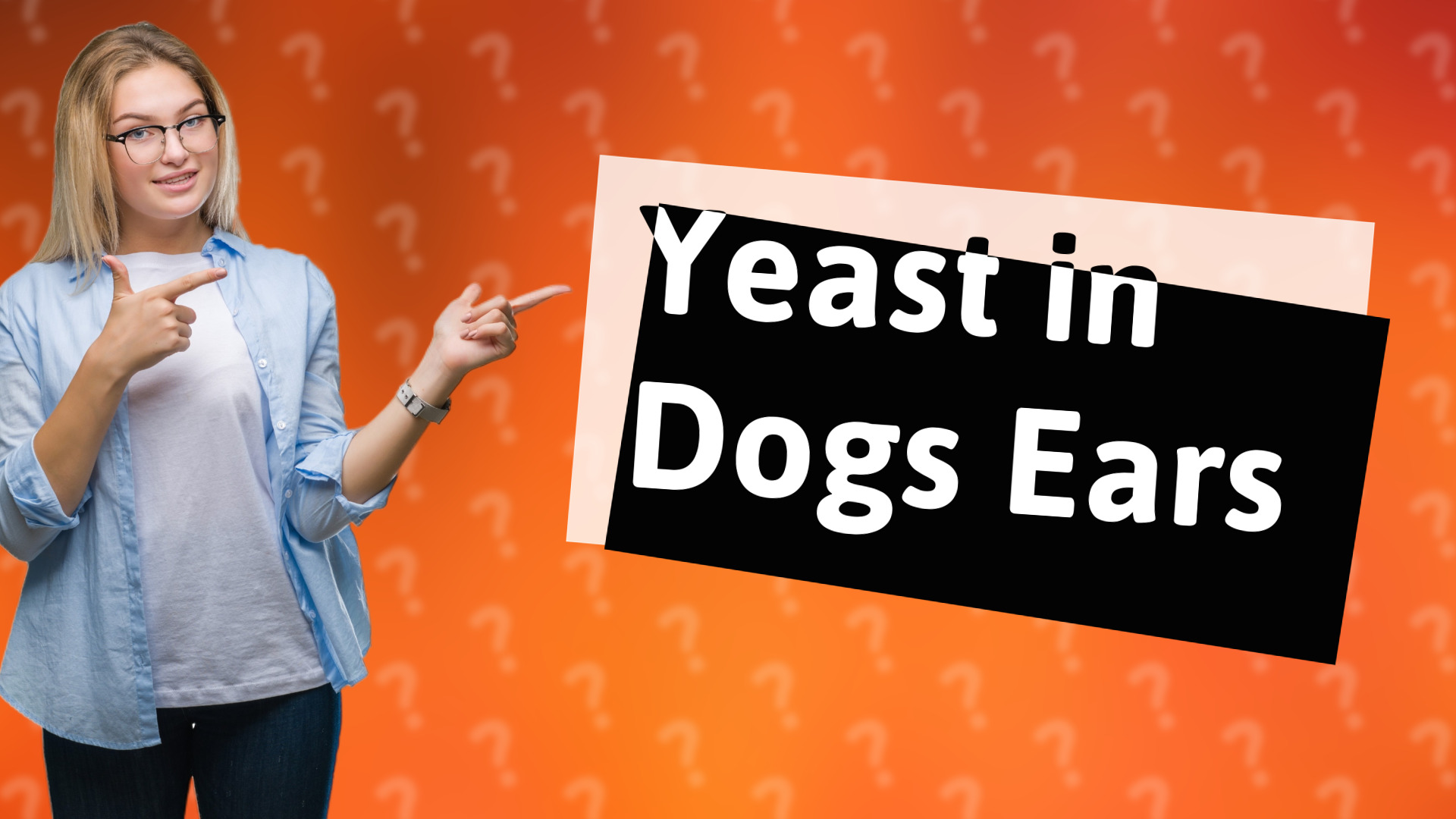 Yeast in Dogs Ears