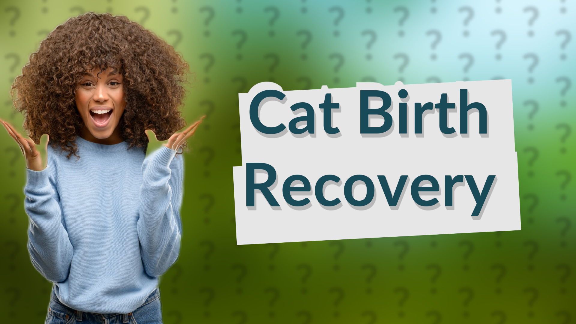 Cat Birth Recovery