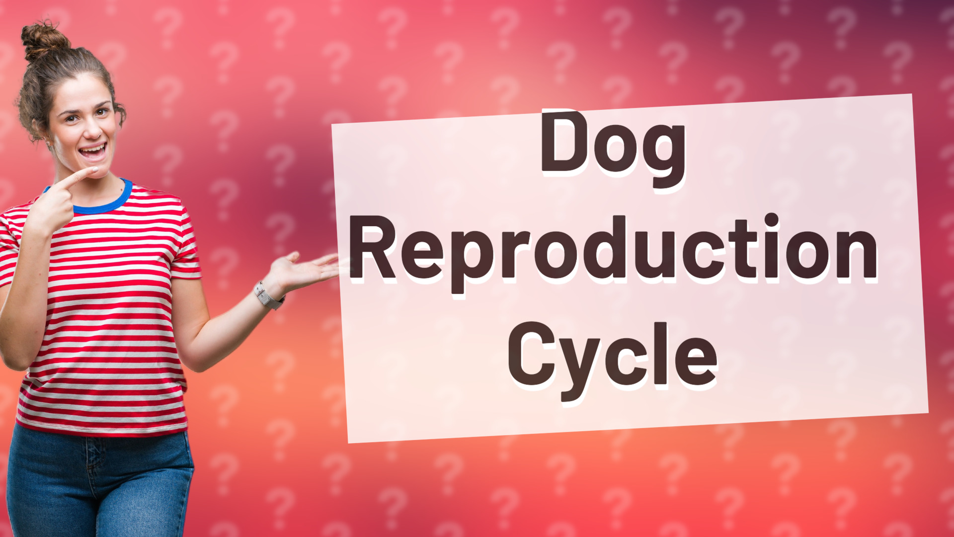 Dog Reproduction Cycle