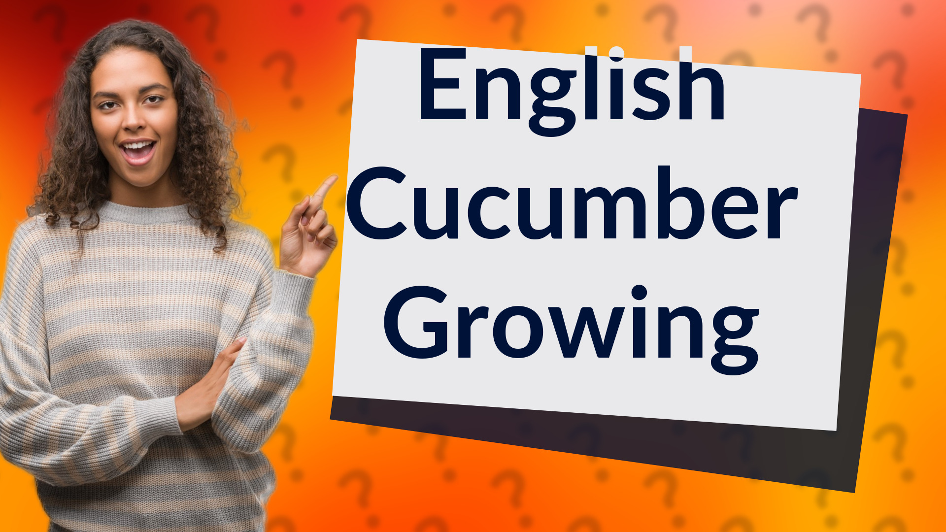 English Cucumber Growing