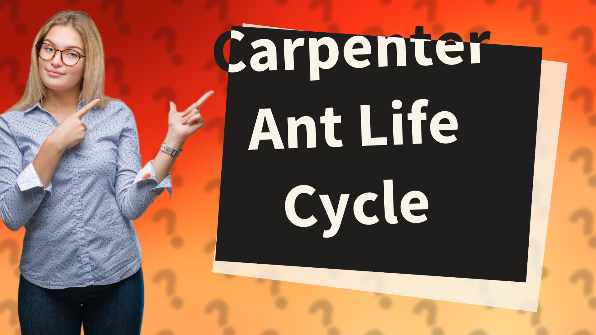 Carpenter Ant Life Cycle