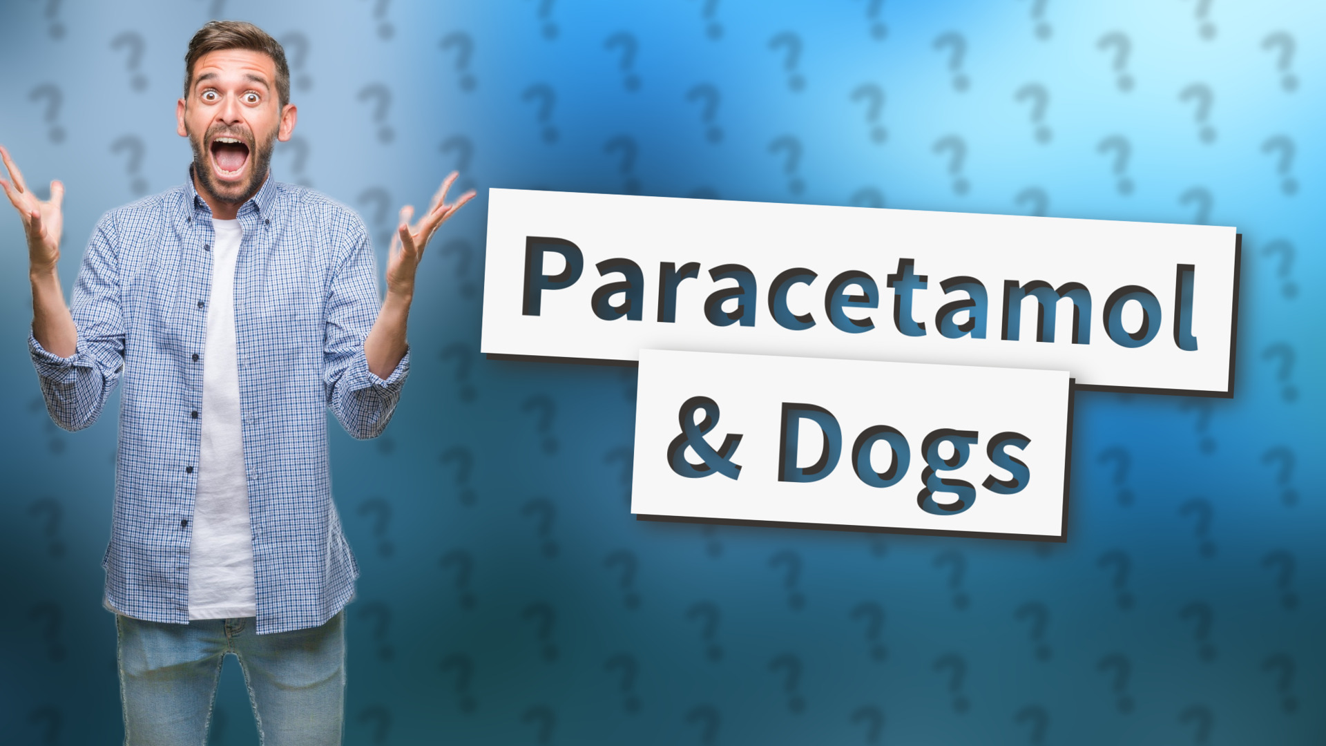 Paracetamol & Dogs