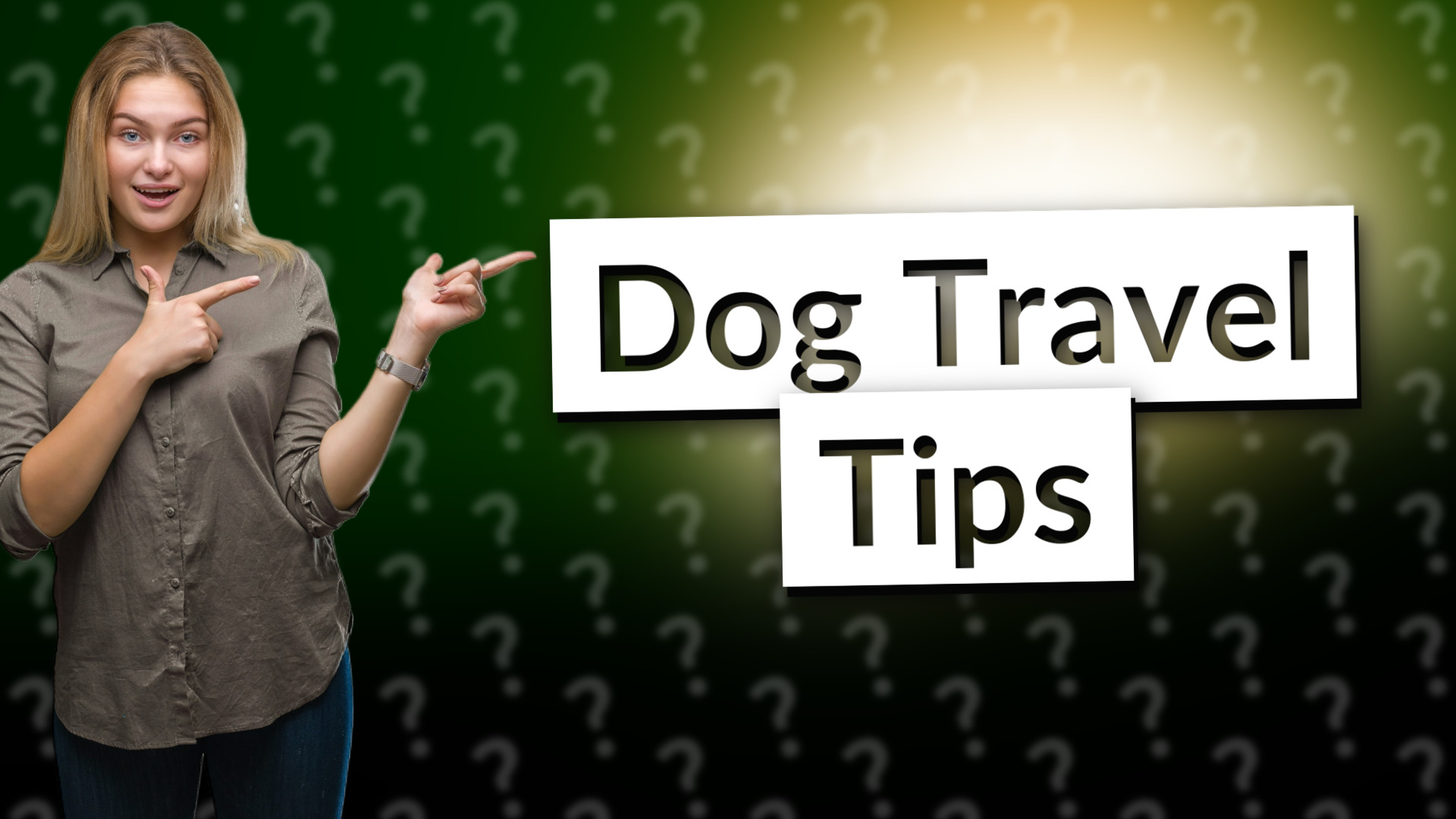 Dog Travel Tips