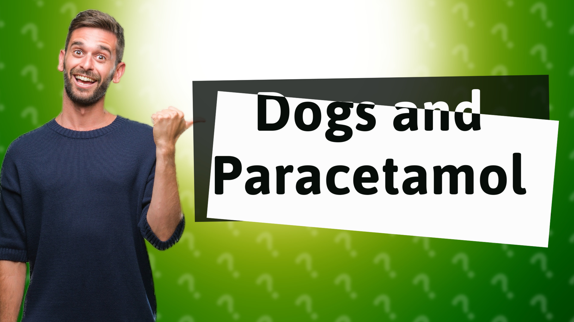 Dogs and Paracetamol