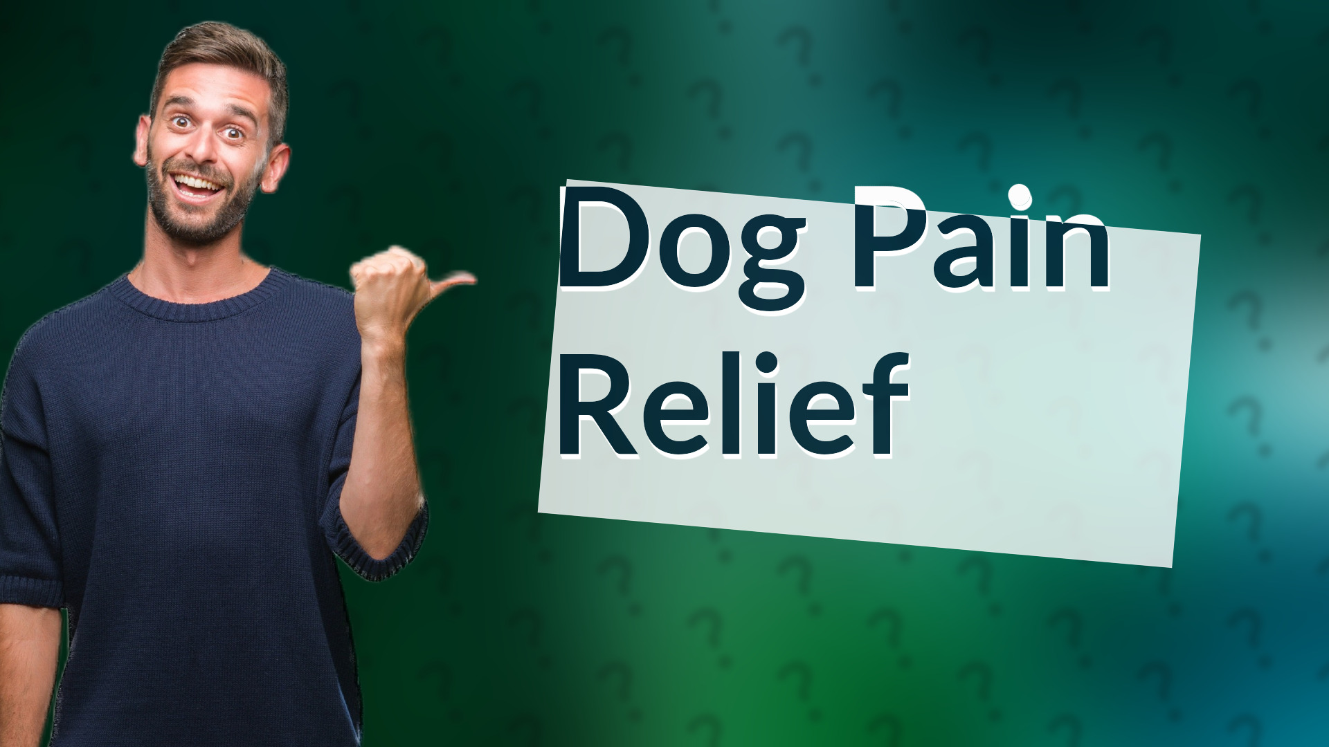 Dog Pain Relief