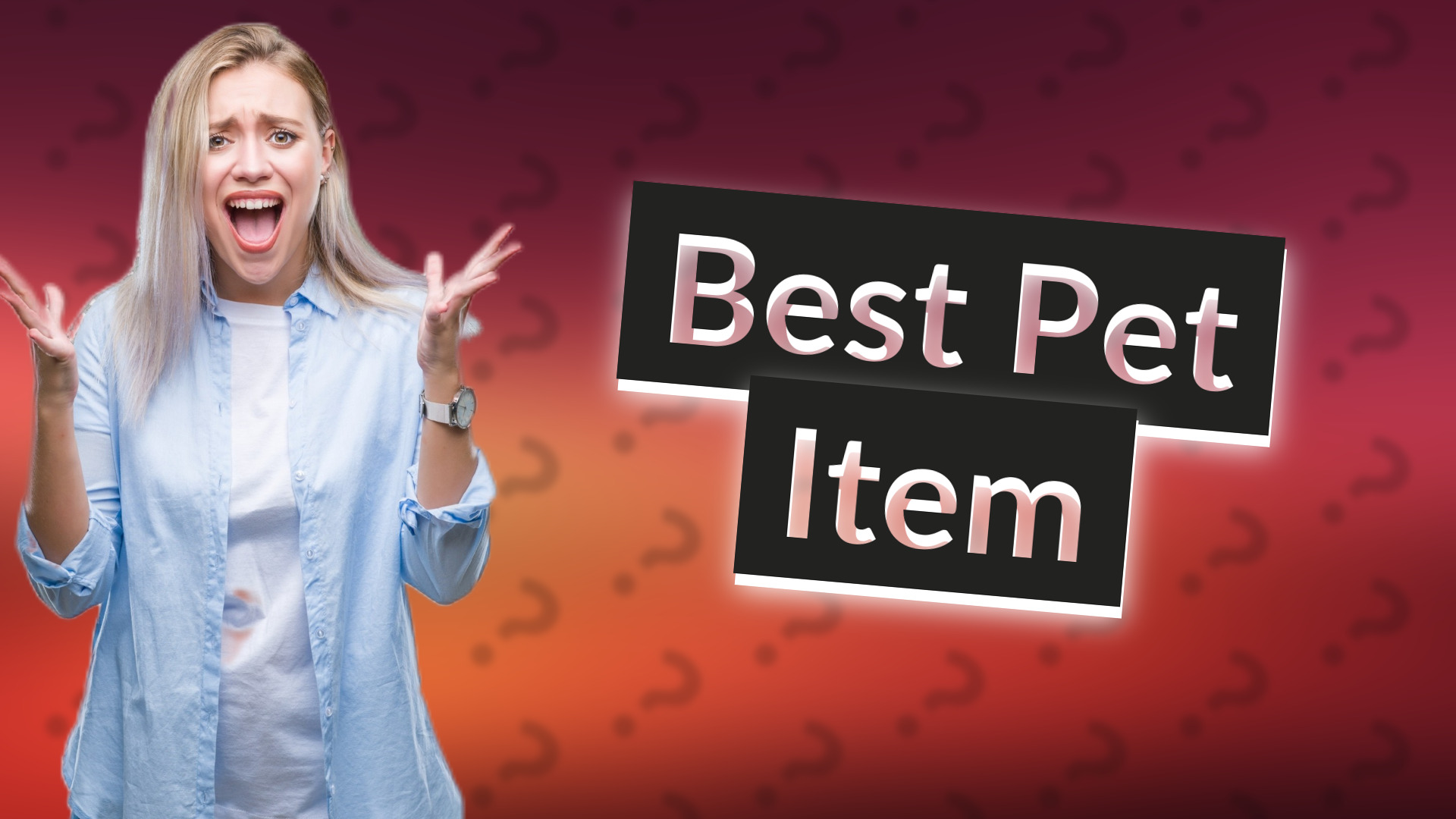 Best Pet Item