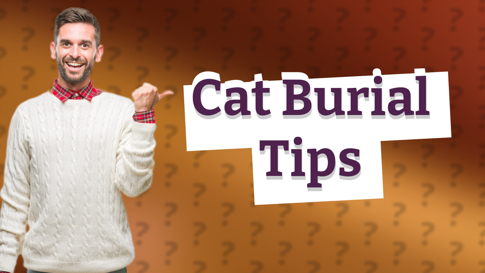 Cat Burial Tips