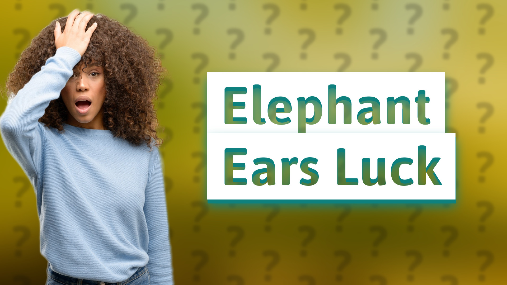 Elephant Ears Luck