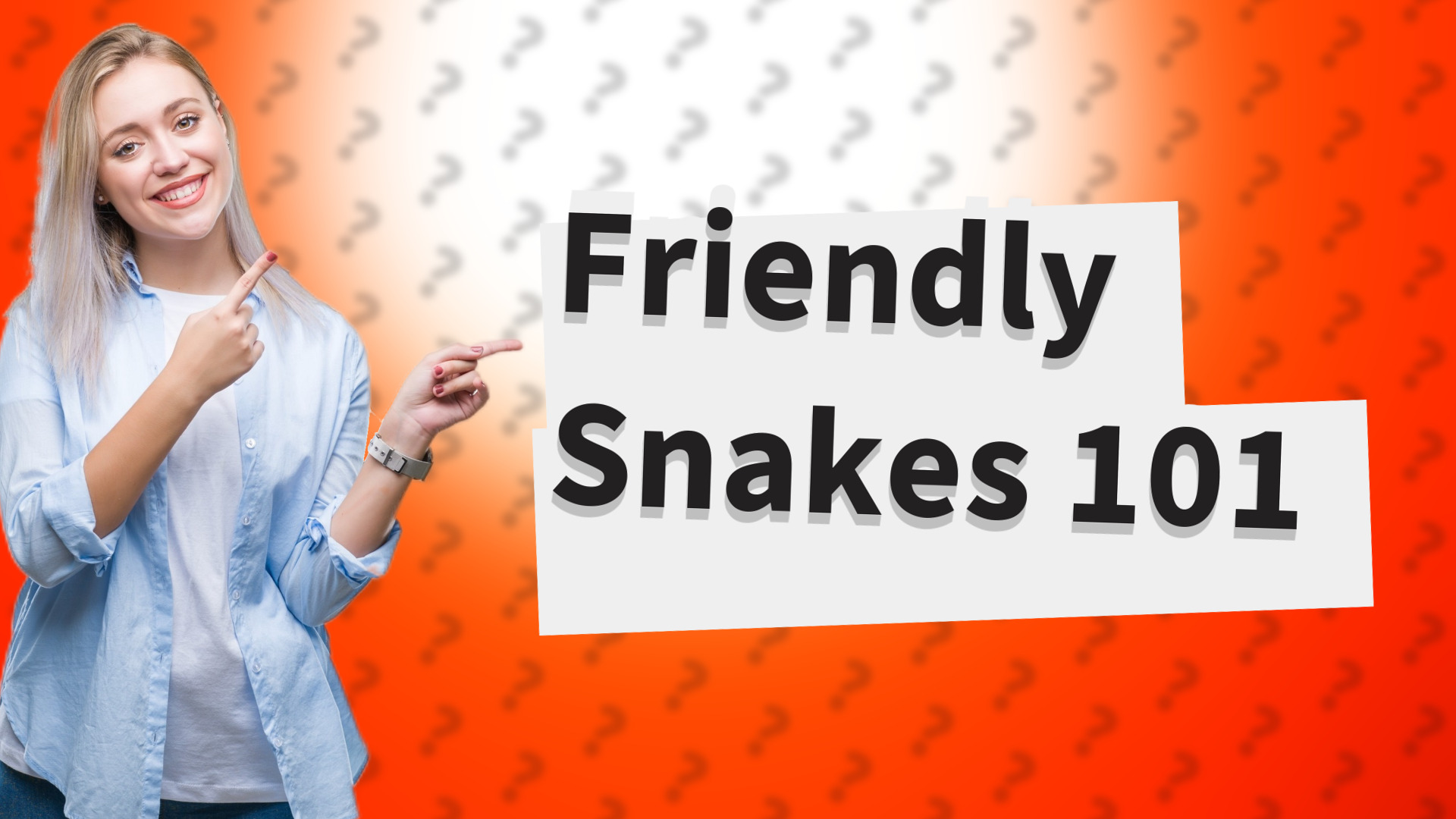 Friendly Snakes 101
