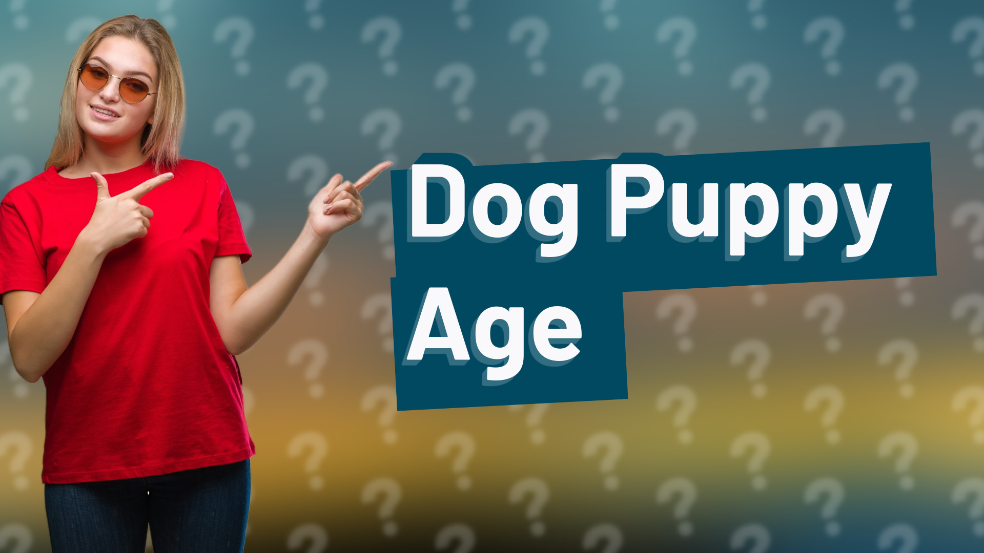 Dog Puppy Age