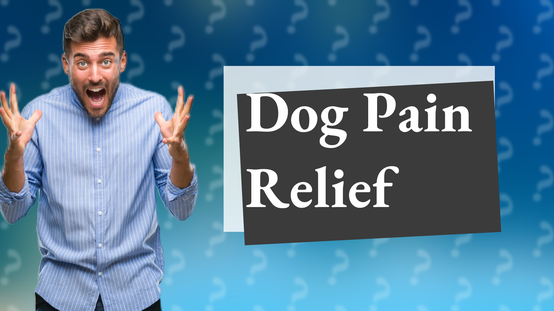 Dog Pain Relief