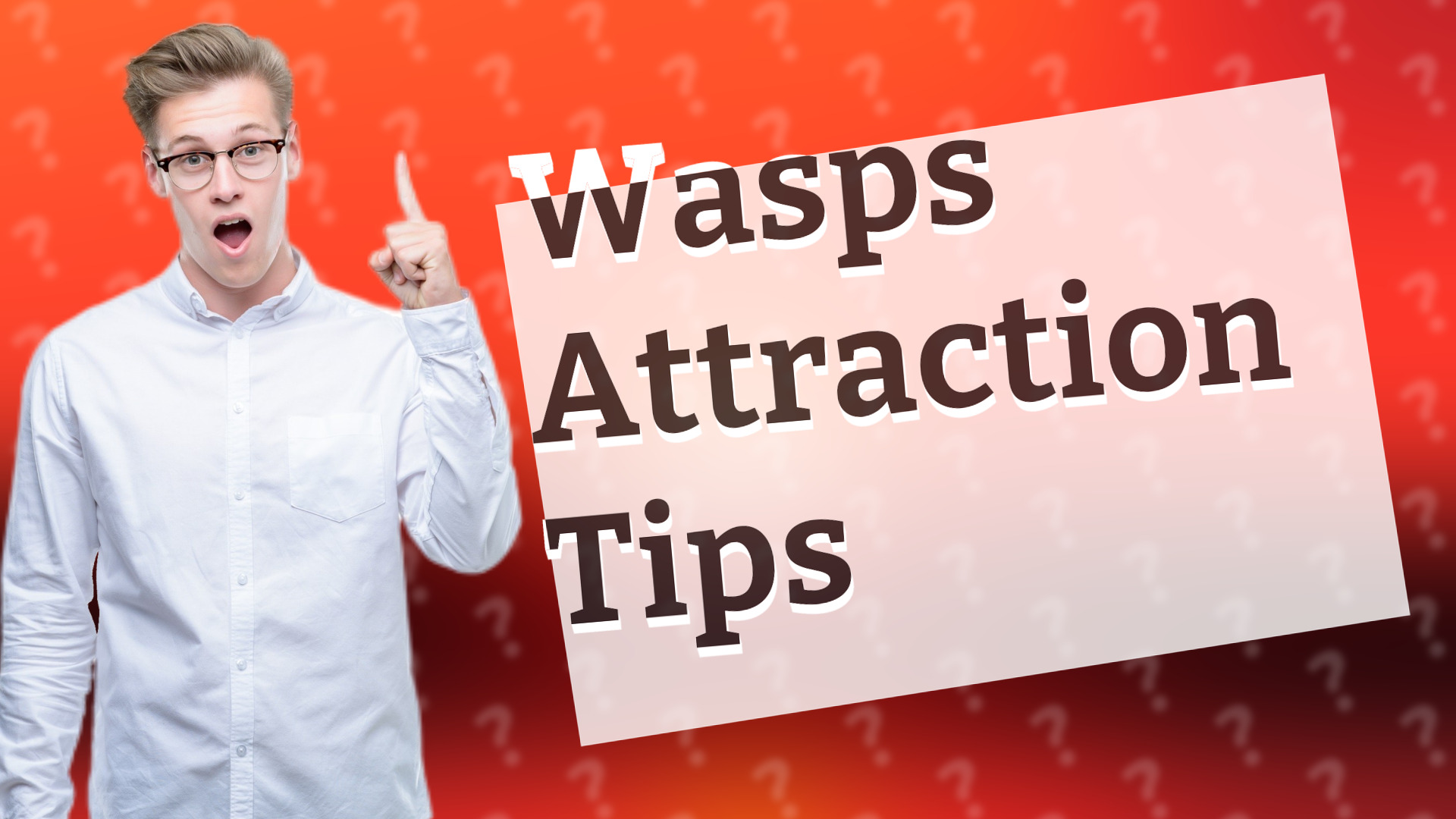 Wasps Attraction Tips