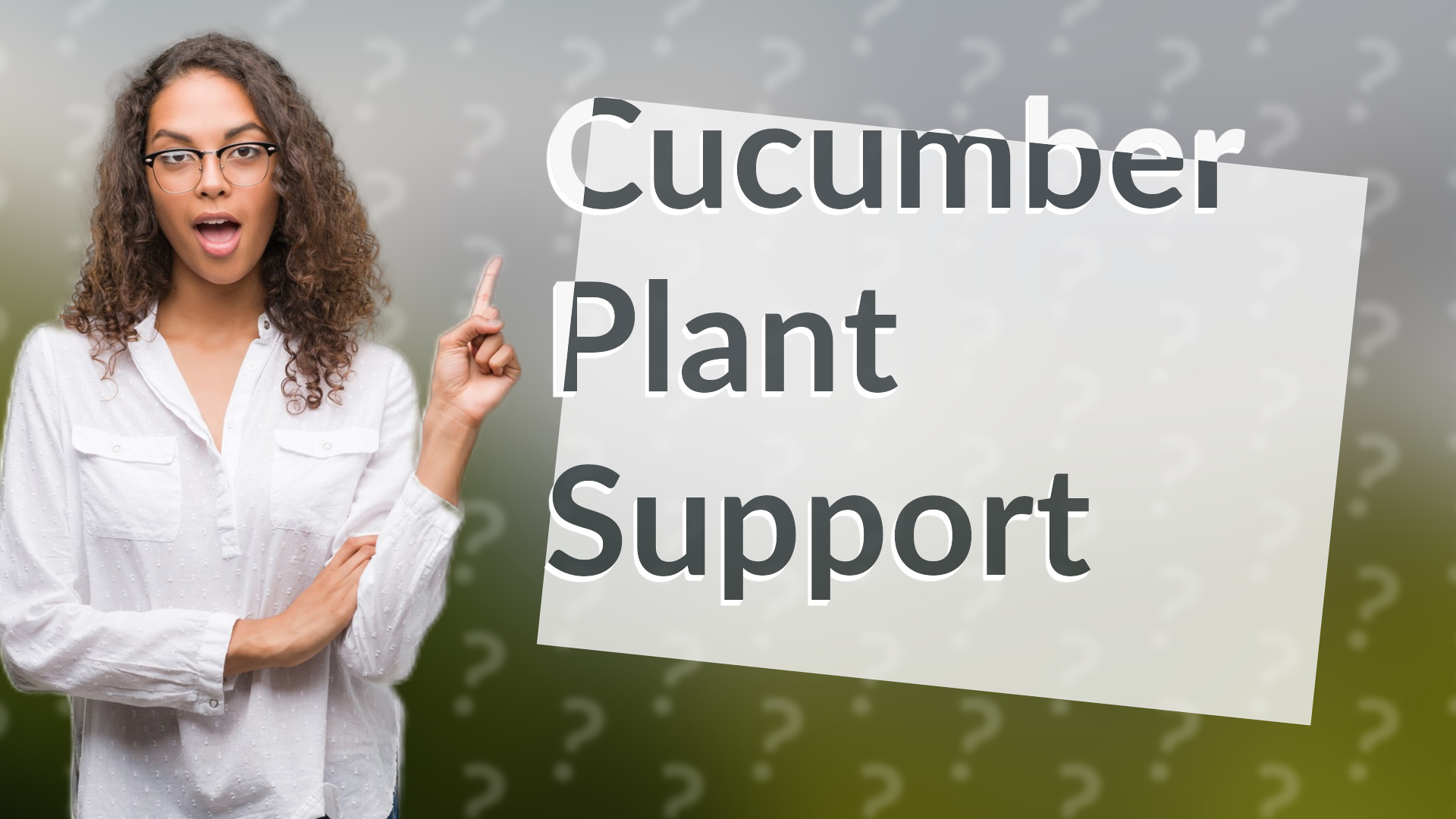 Cucumber Plant Support
