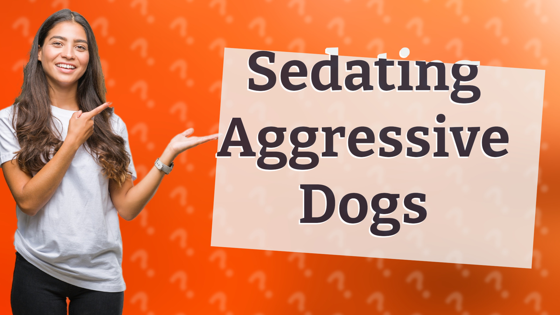 Sedating Aggressive Dogs