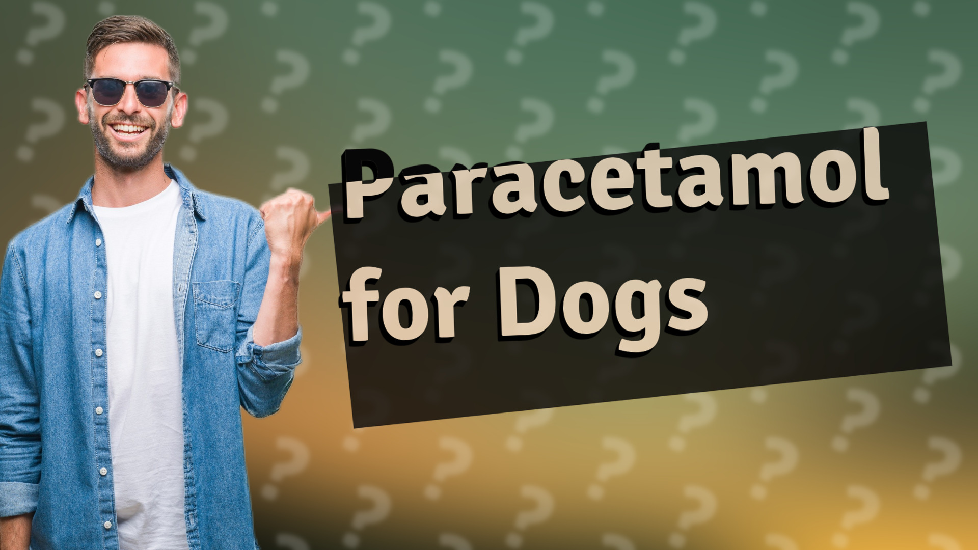 Paracetamol for Dogs
