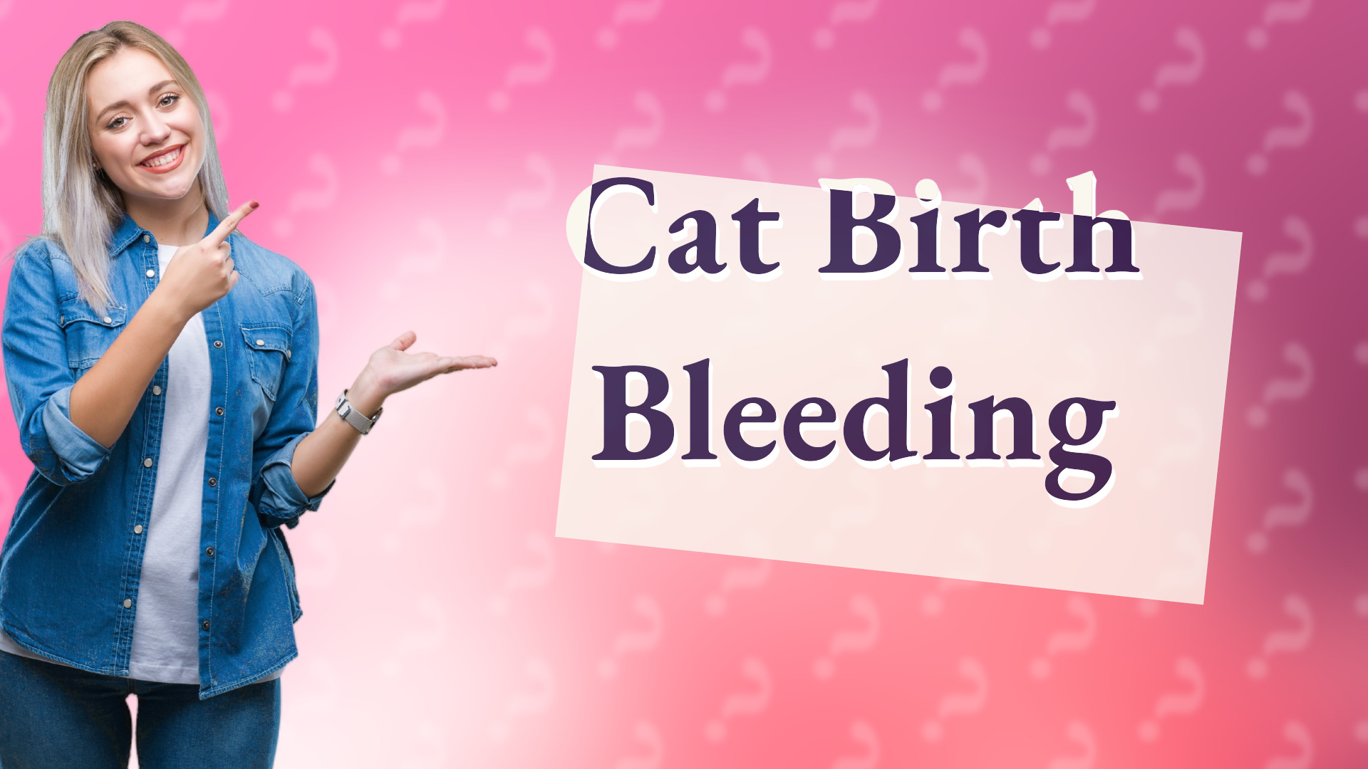 Cat Birth Bleeding