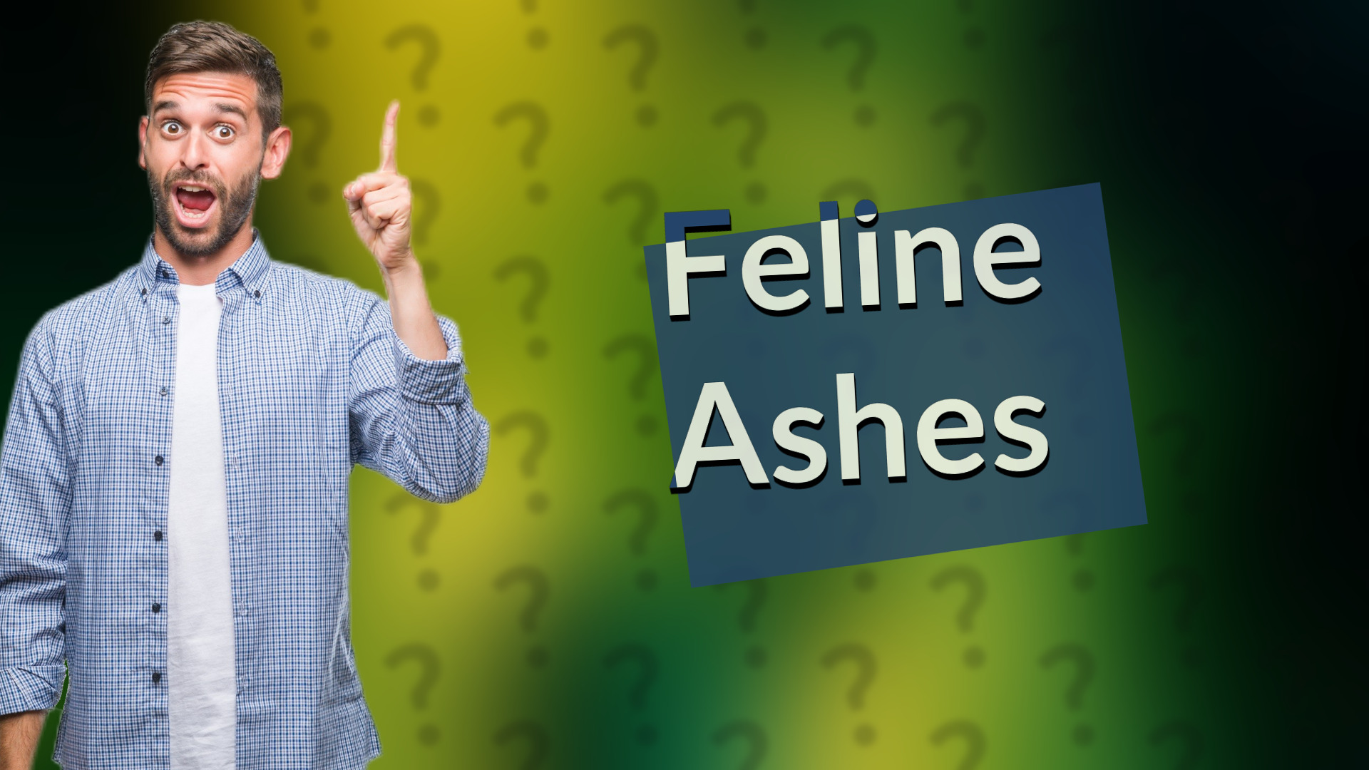Feline Ashes