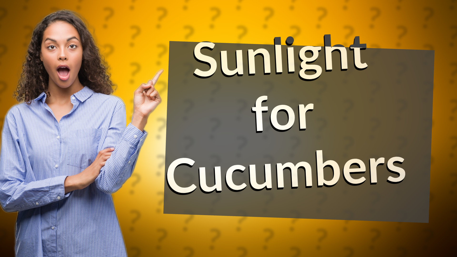 Sunlight for Cucumbers