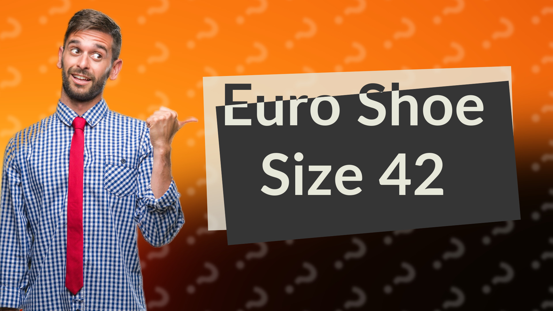 Euro Shoe Size 42