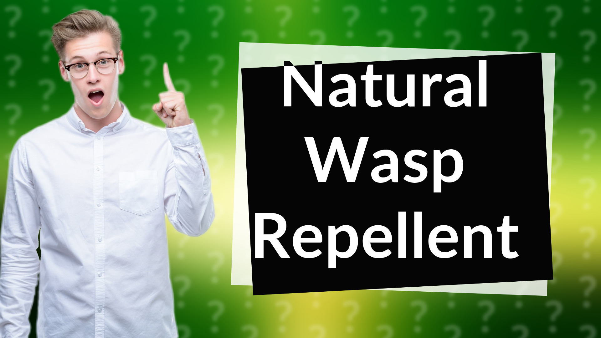 Natural Wasp Repellent
