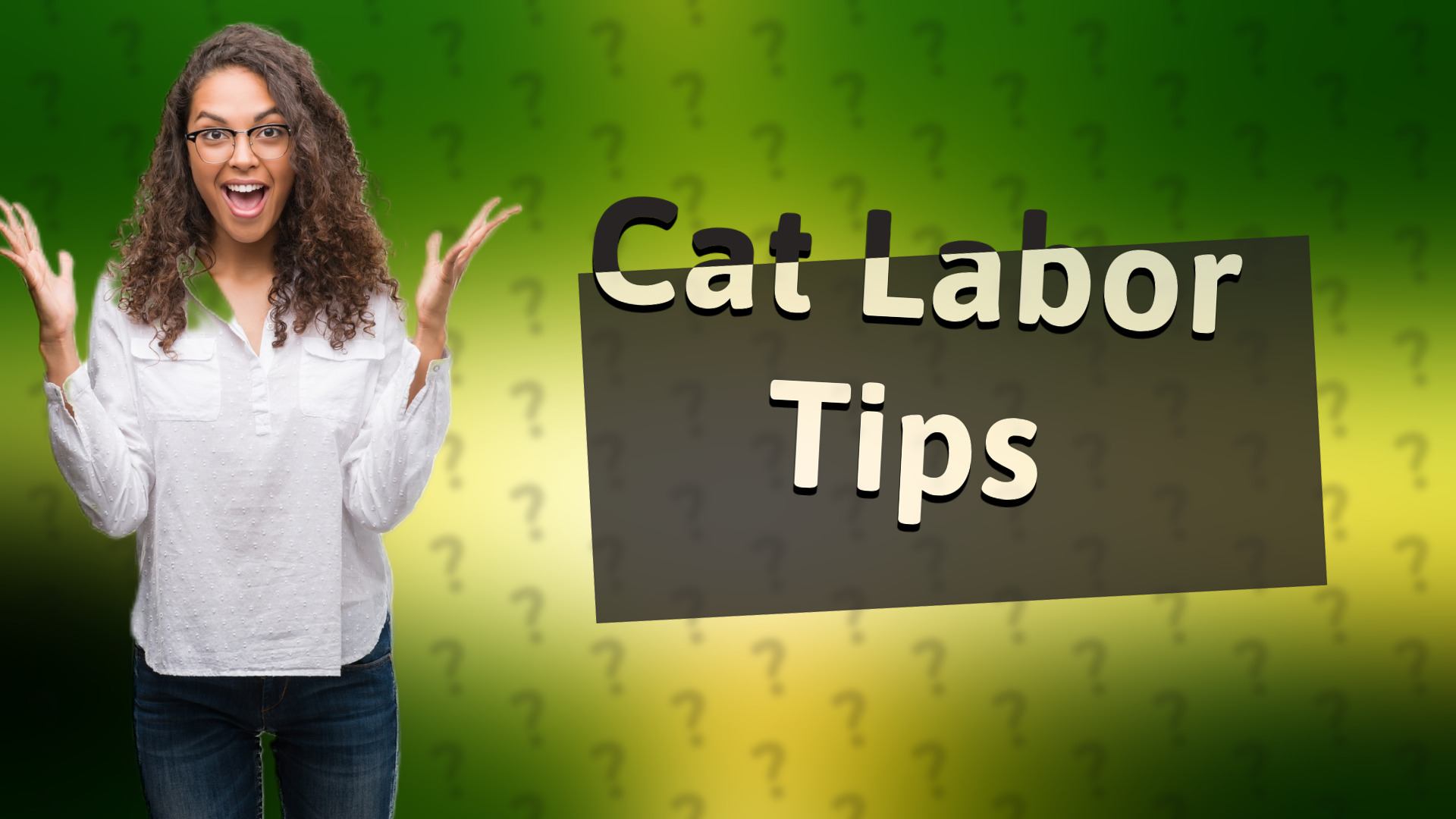 Cat Labor Tips