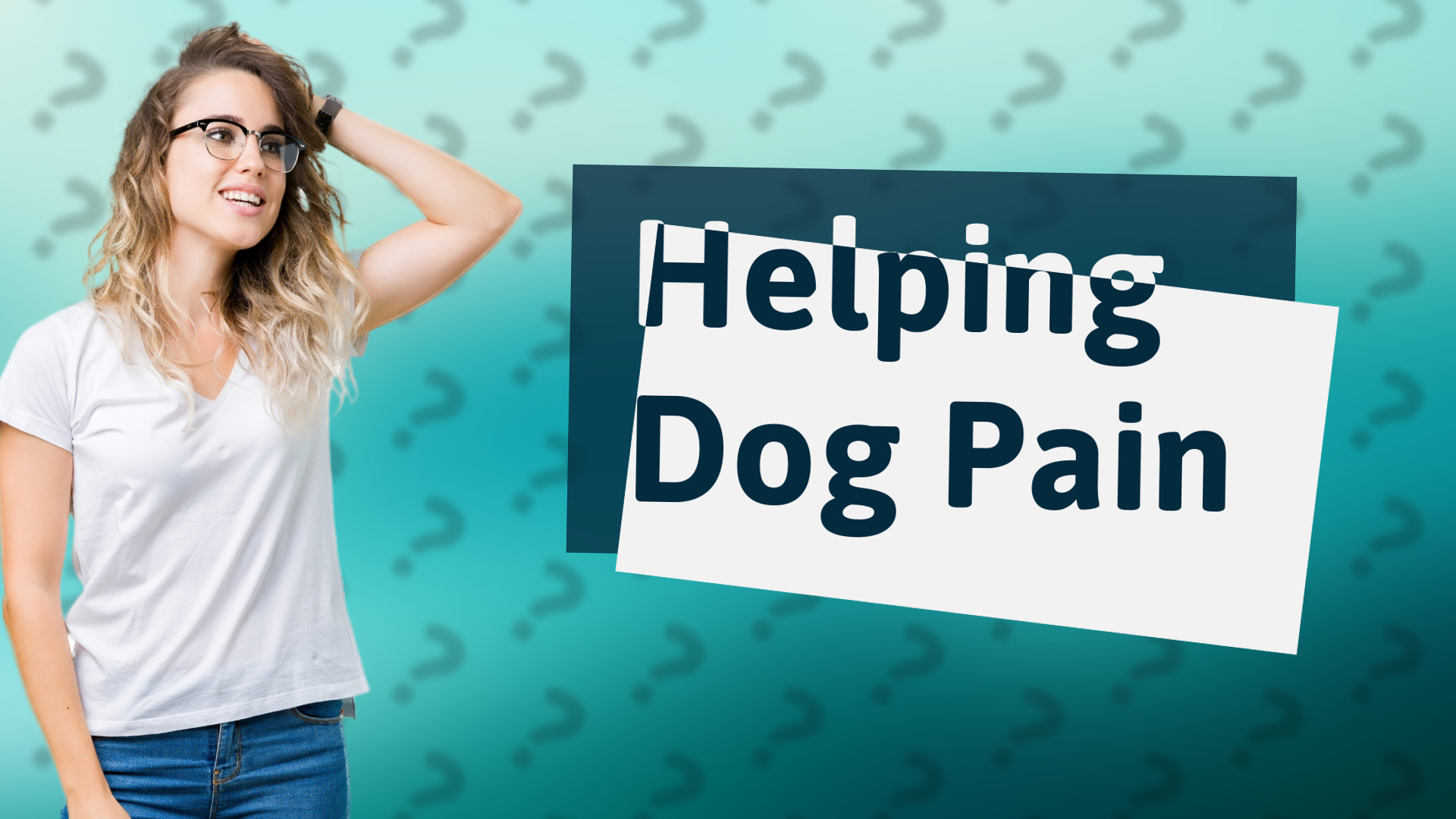 Helping Dog Pain
