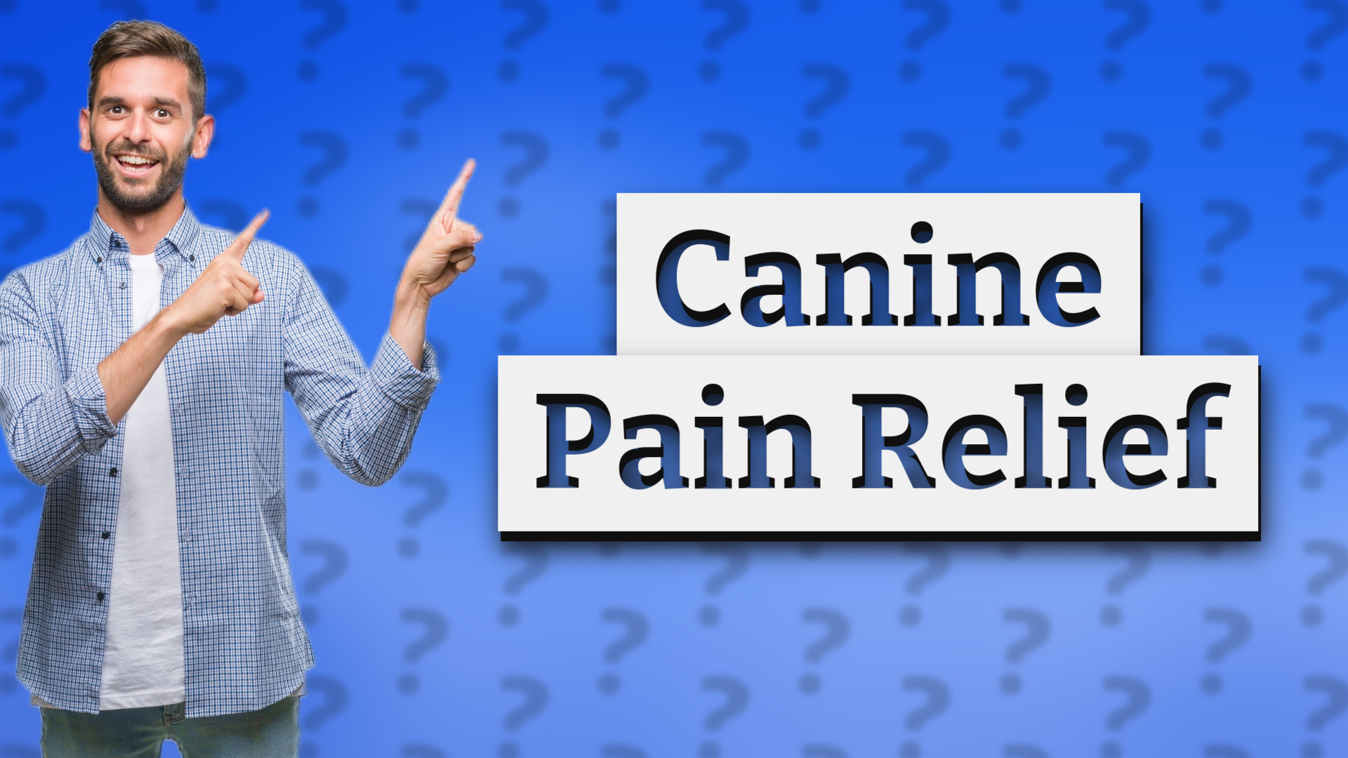 Canine Pain Relief
