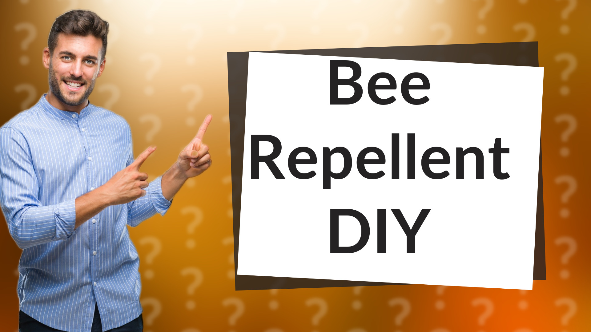 Bee Repellent DIY