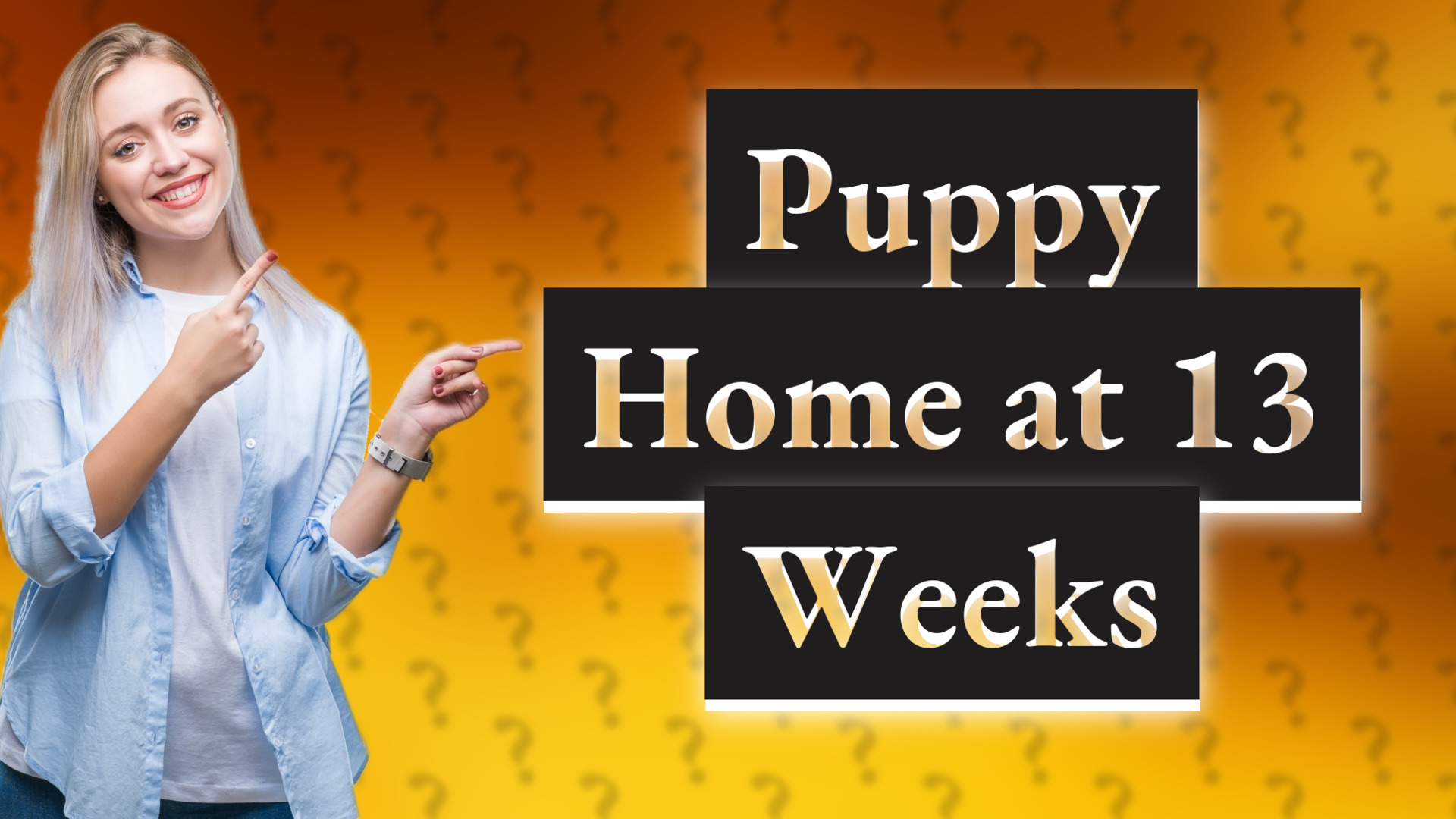 Puppy Home at 13 Weeks