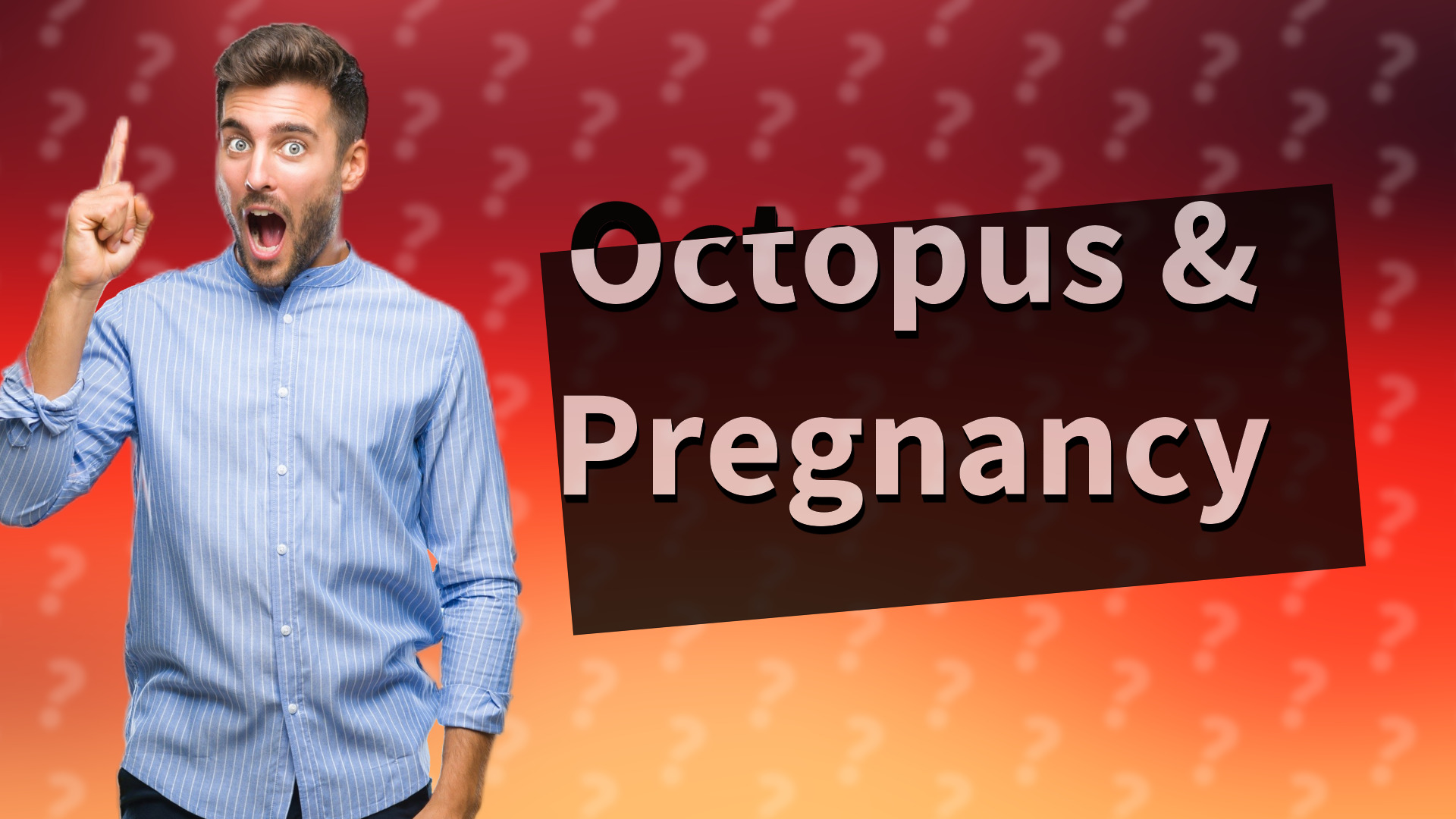 Octopus & Pregnancy