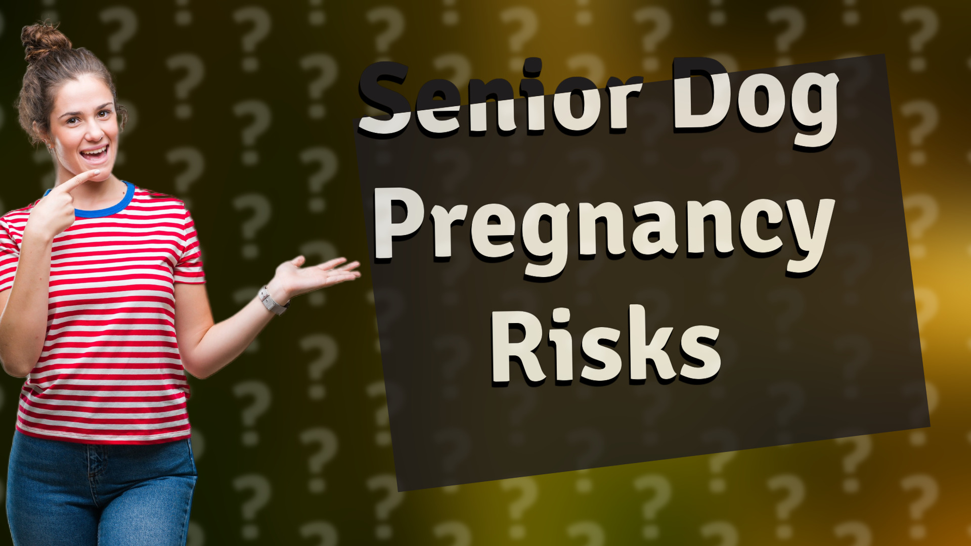 Senior Dog Pregnancy Risks