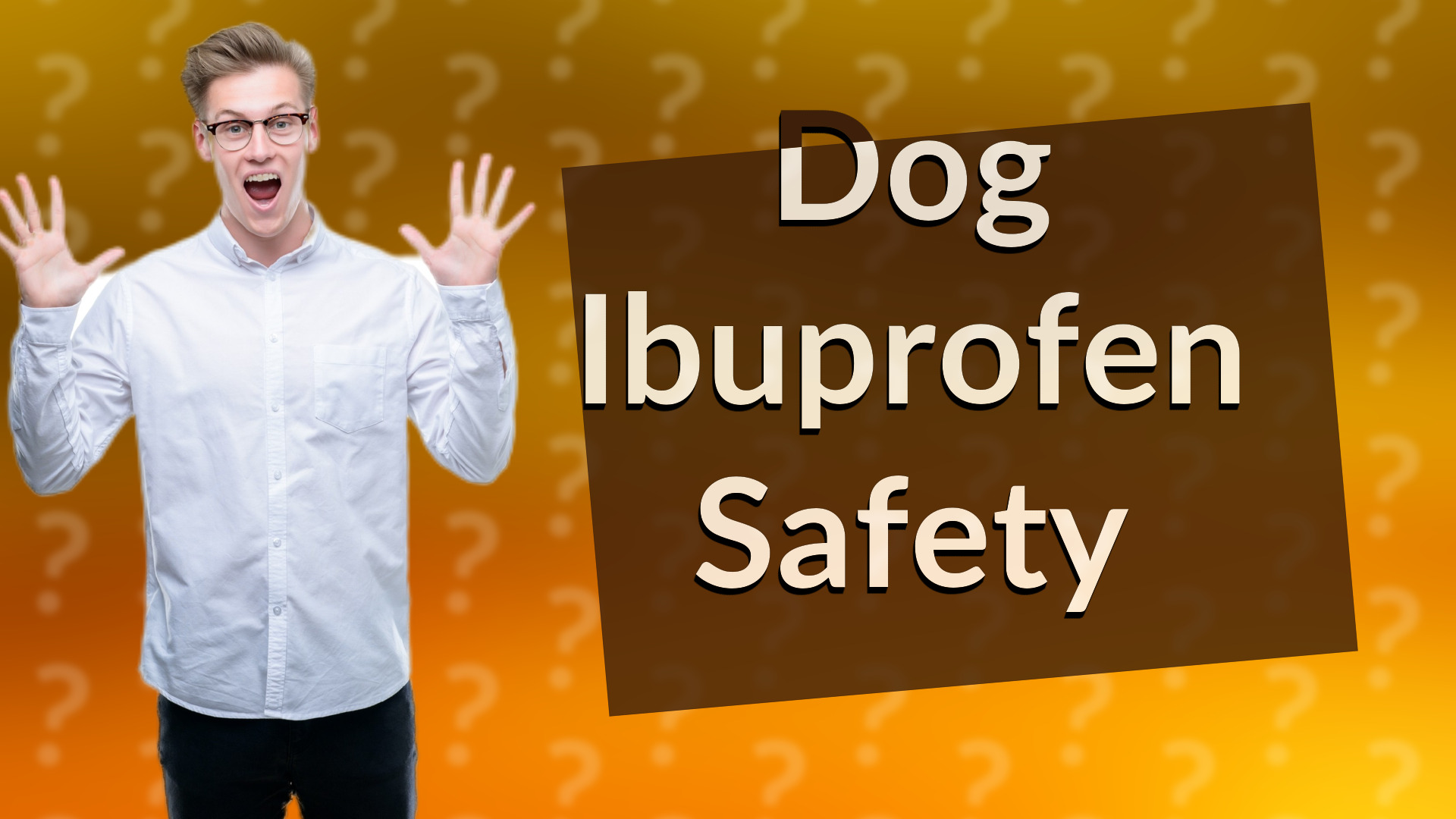 Dog Ibuprofen Safety