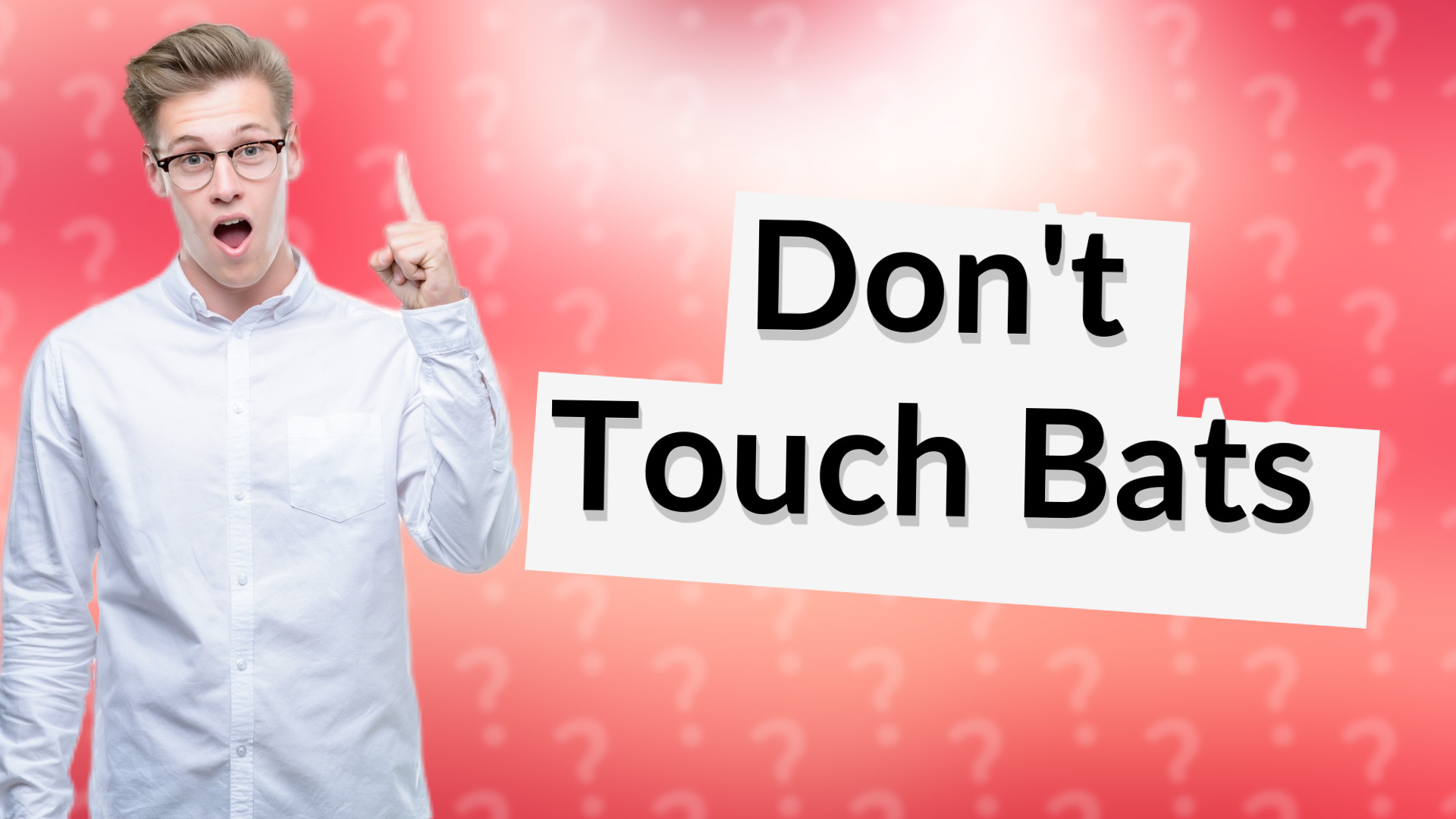 Don't Touch Bats