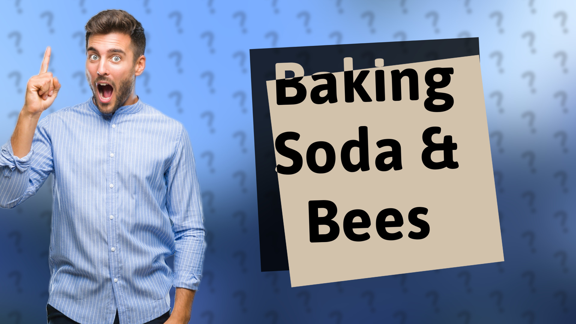 Baking Soda & Bees