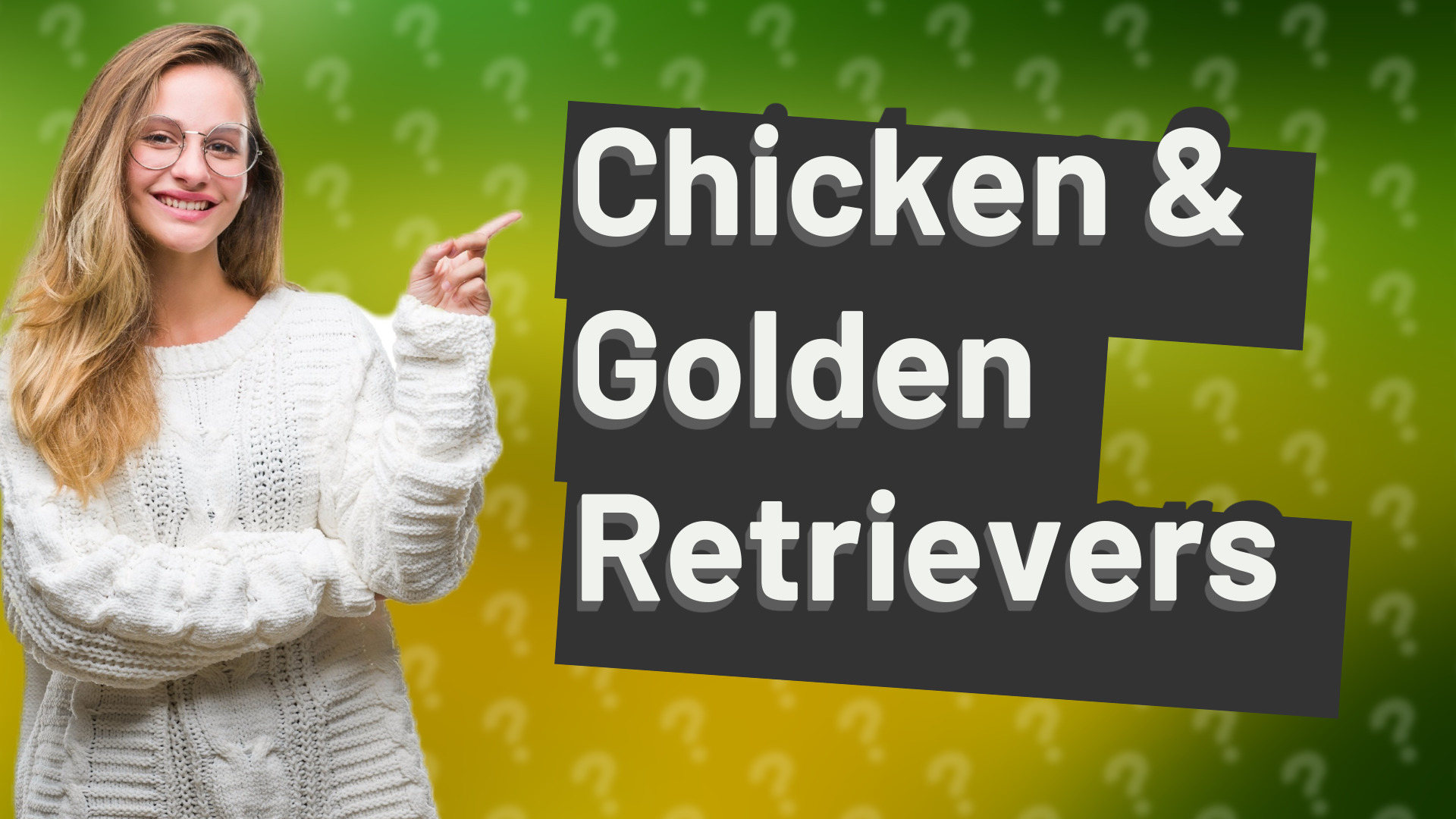Chicken & Golden Retrievers