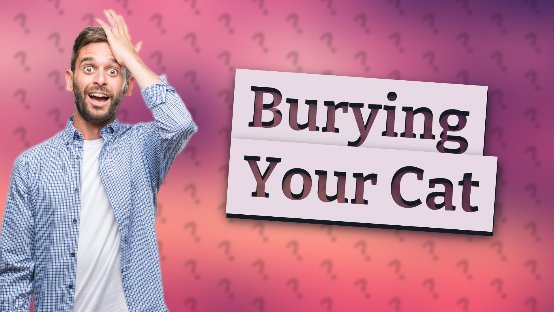Burying Your Cat
