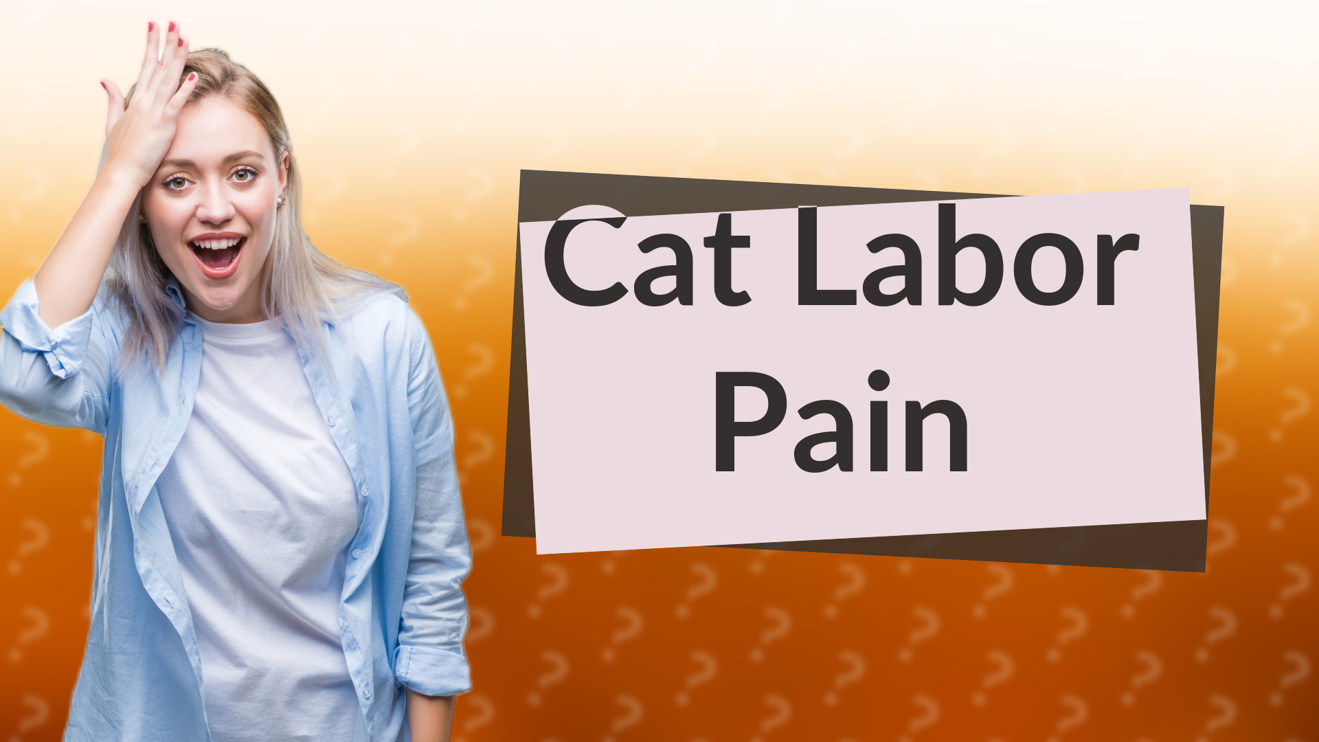 Cat Labor Pain