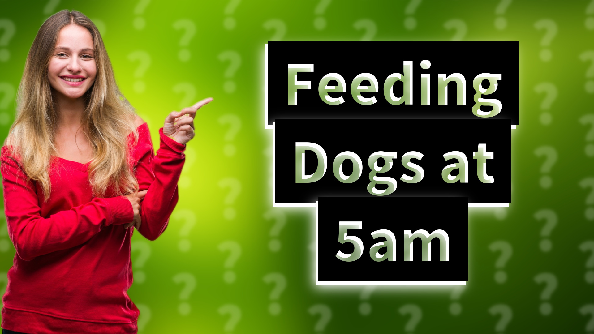 Feeding Dogs at 5am