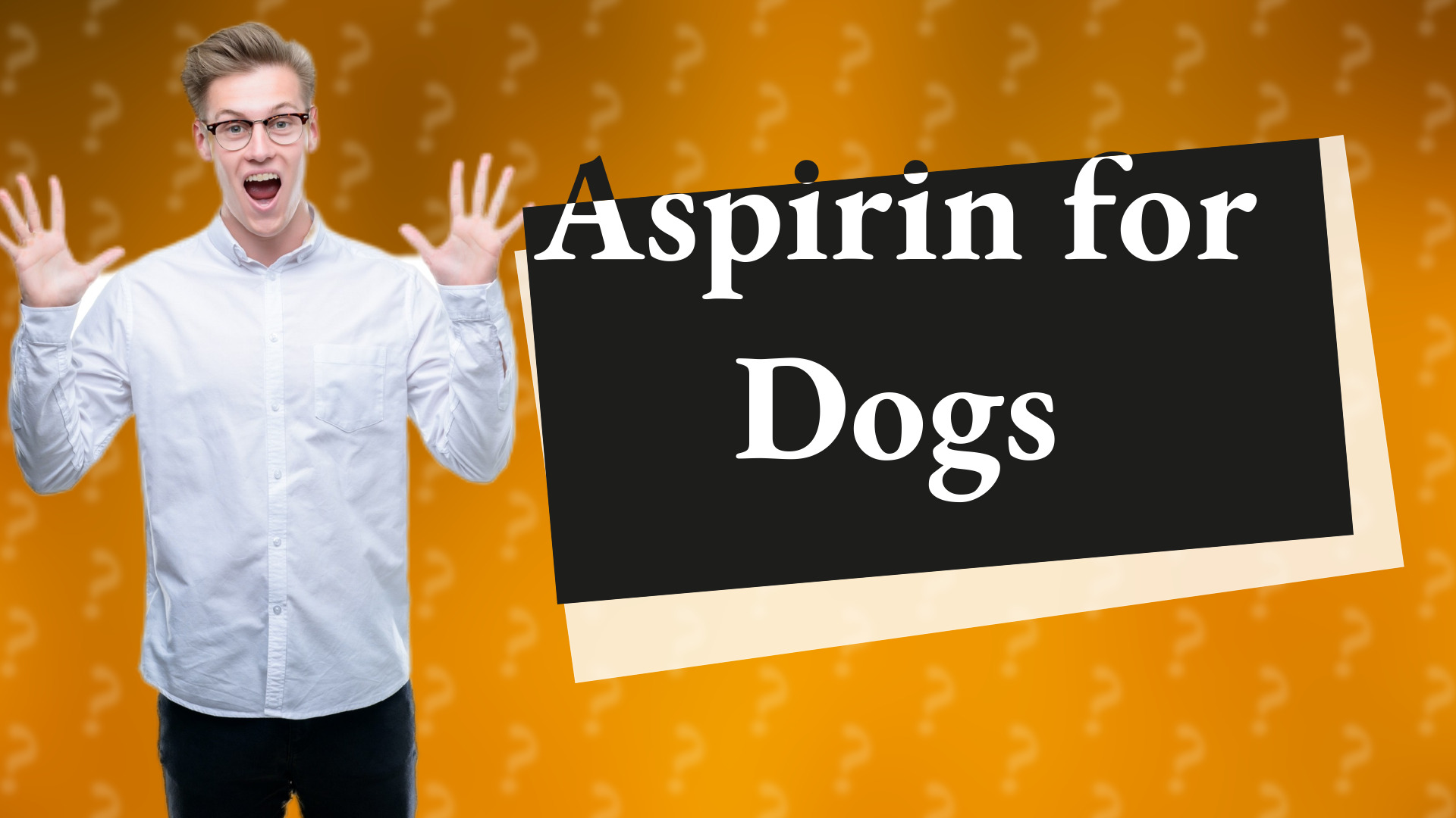Aspirin for Dogs